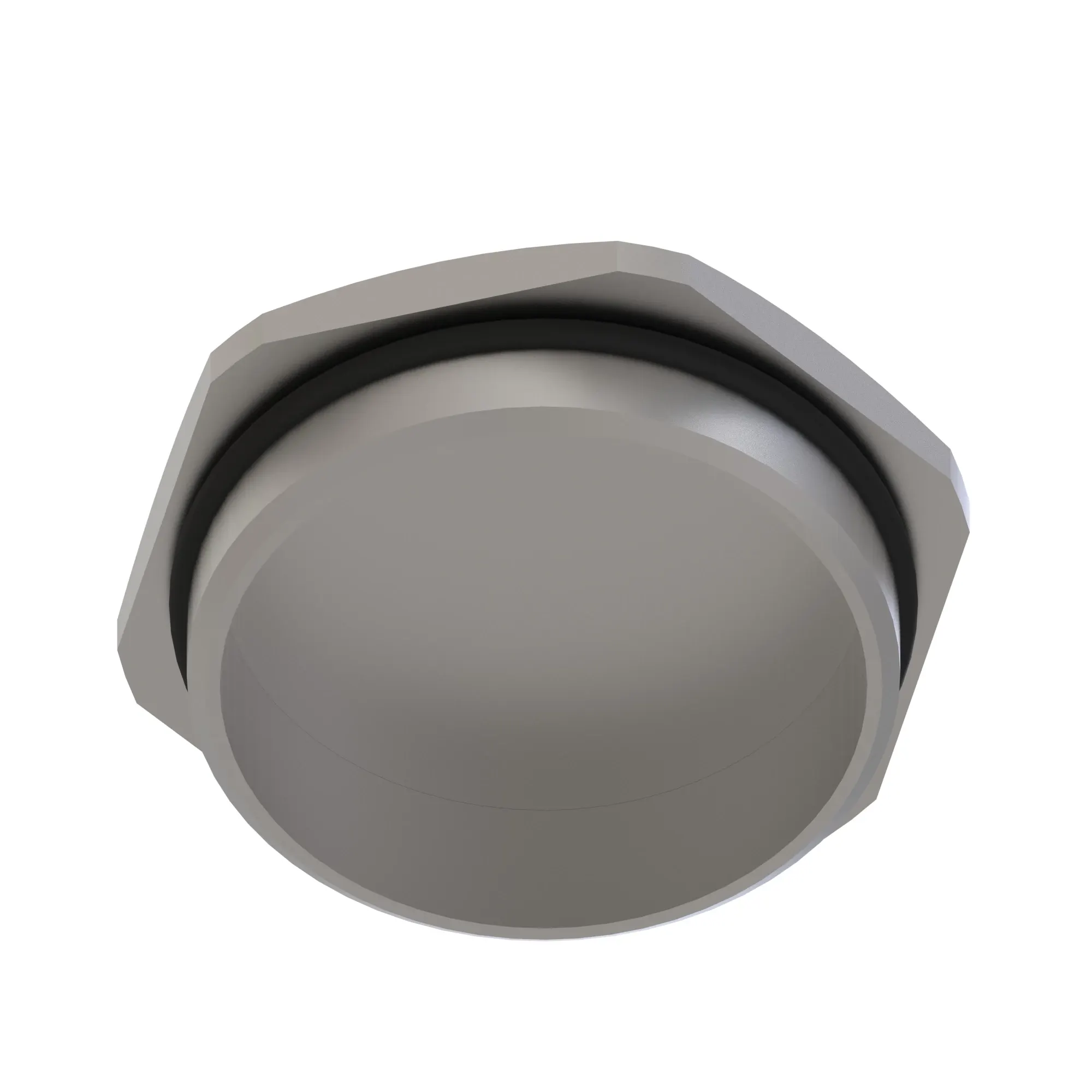 Fitting Plug