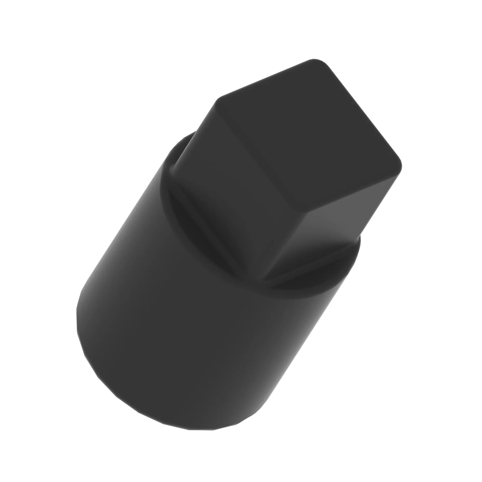 Pipe Plug