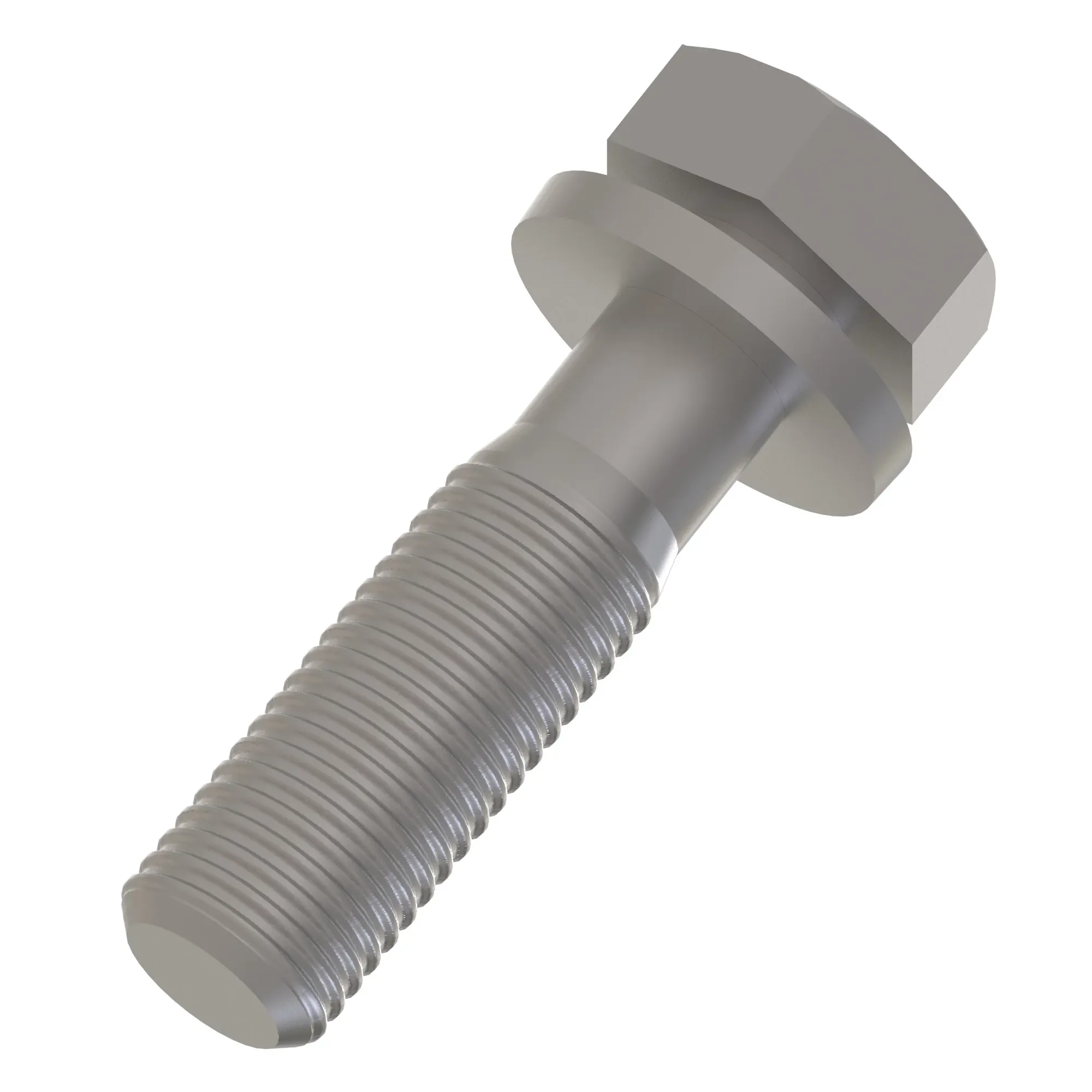 Screw With Washer