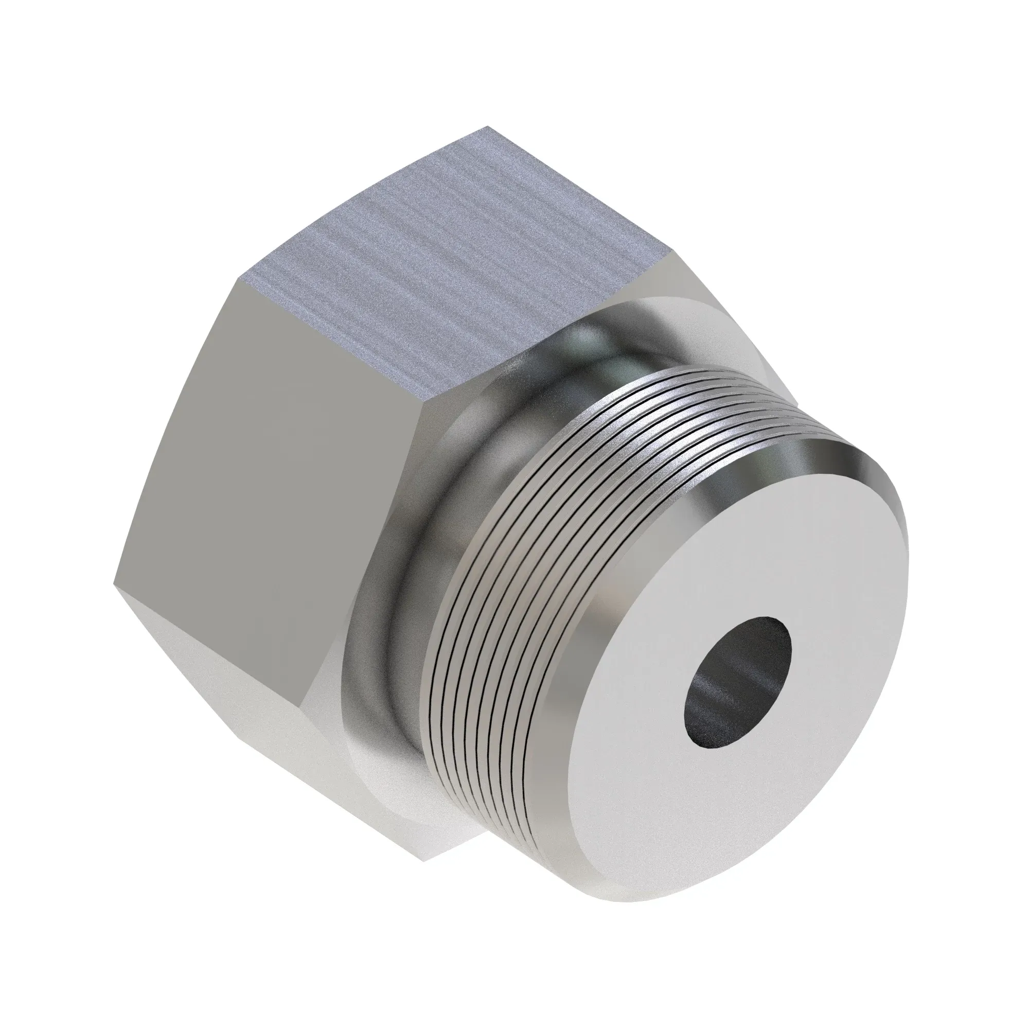 Fitting Plug