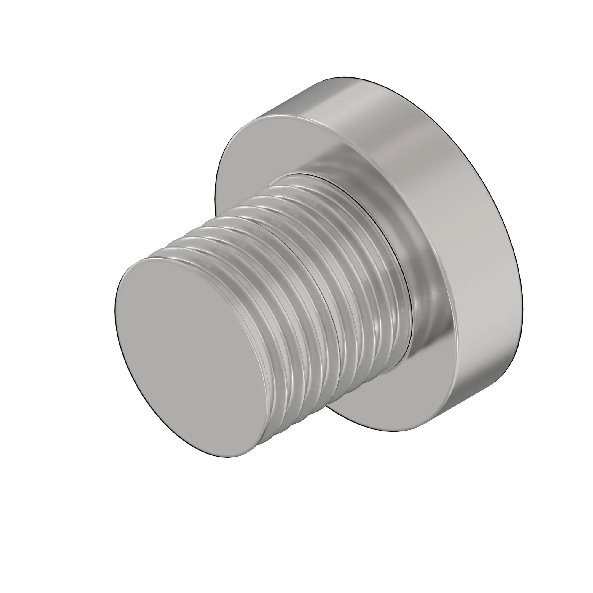 Blanking Plug
