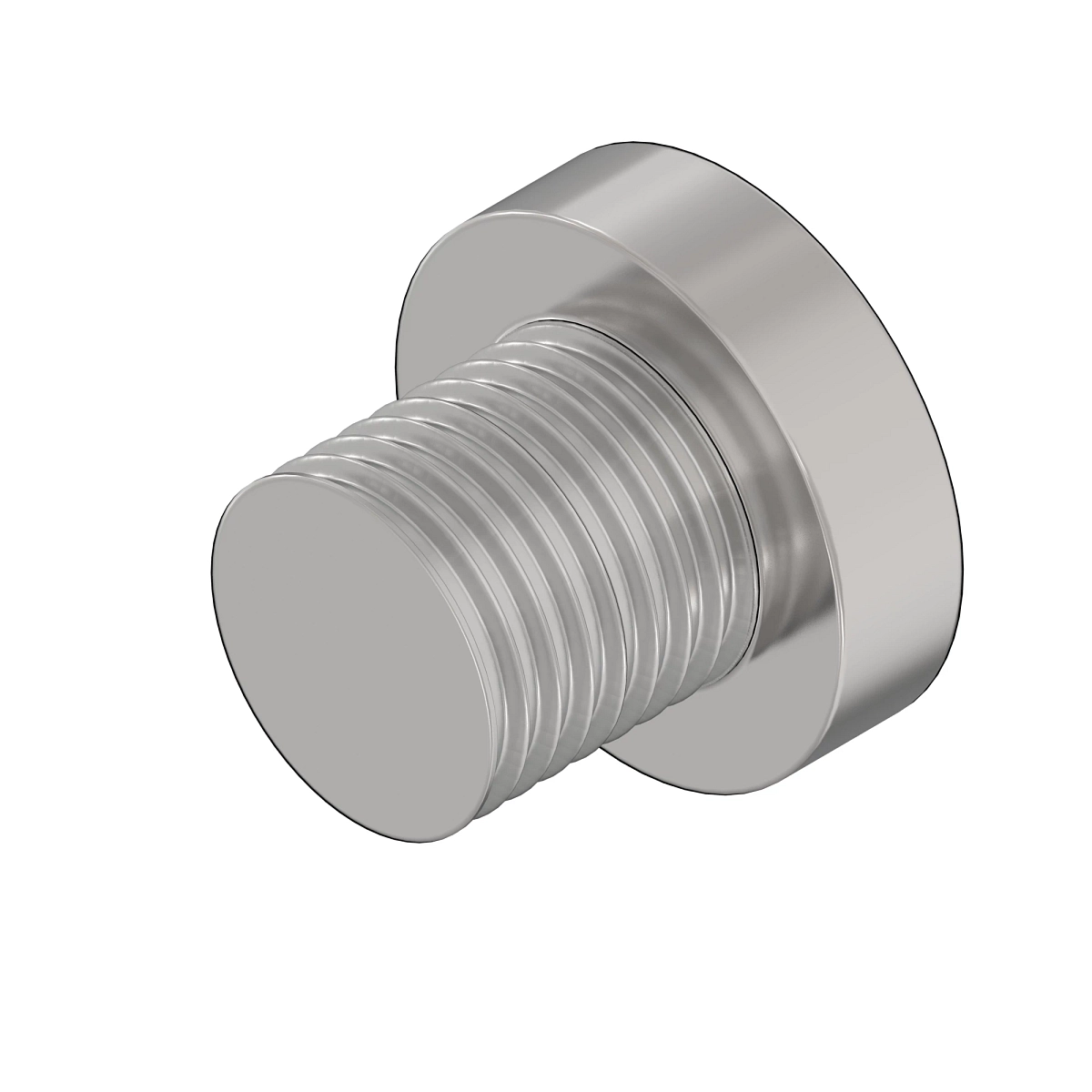 Blanking Plug