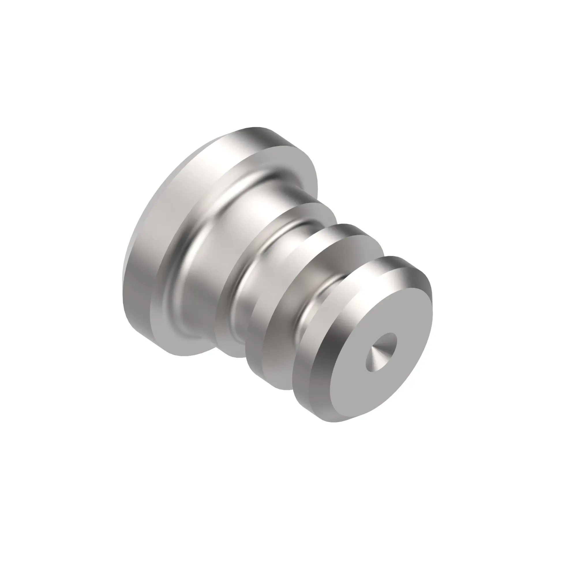 Plug