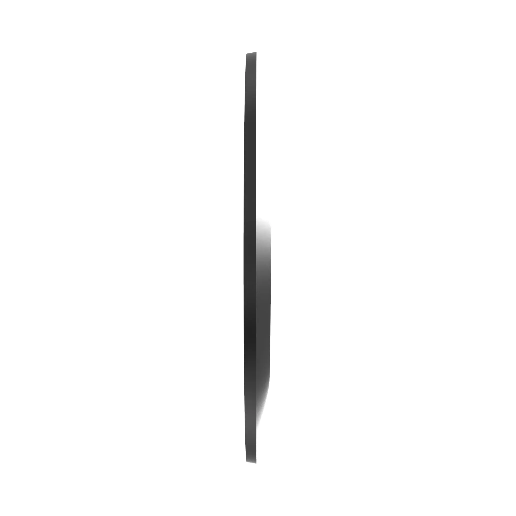 Disk Spring