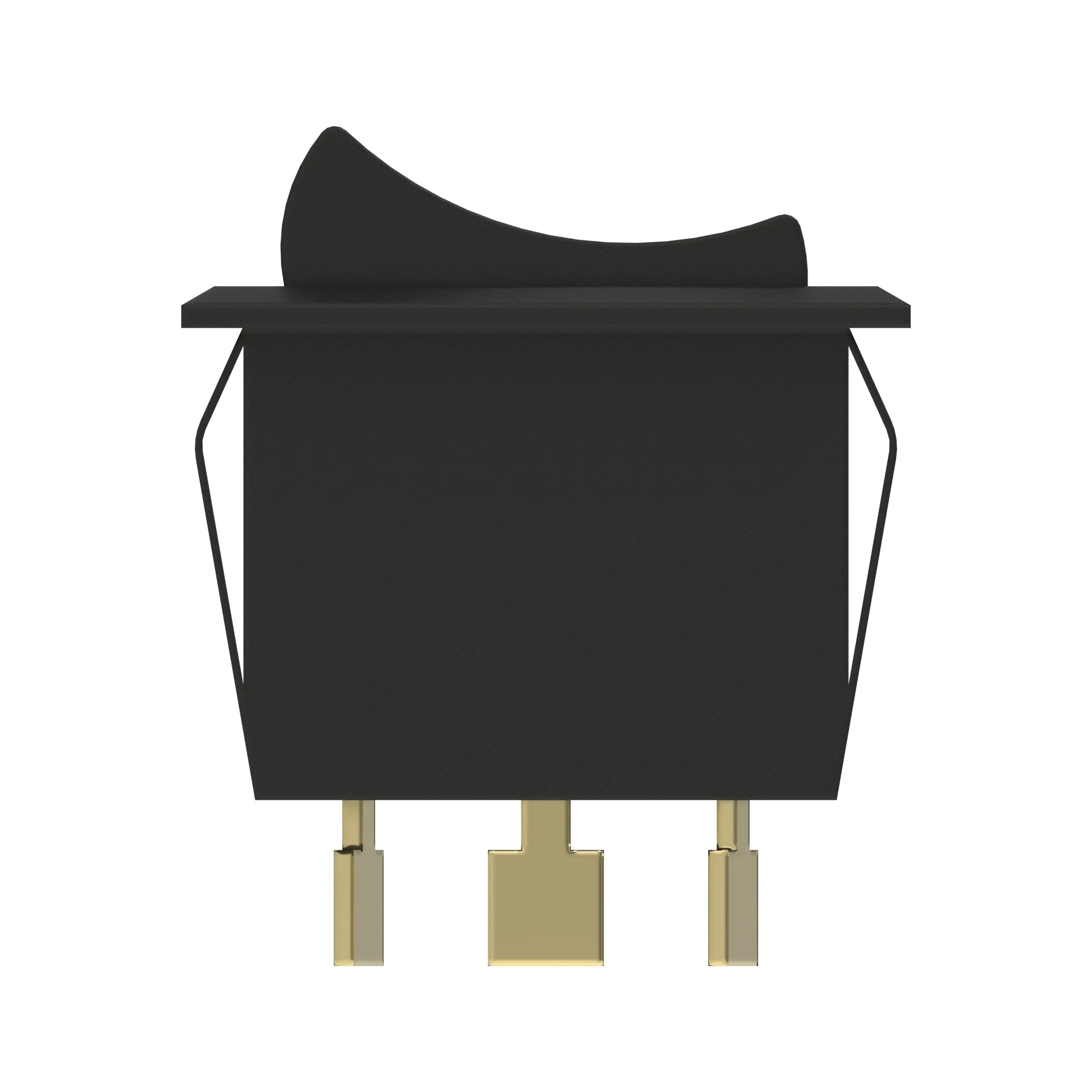 Toggle/Rocker Switch