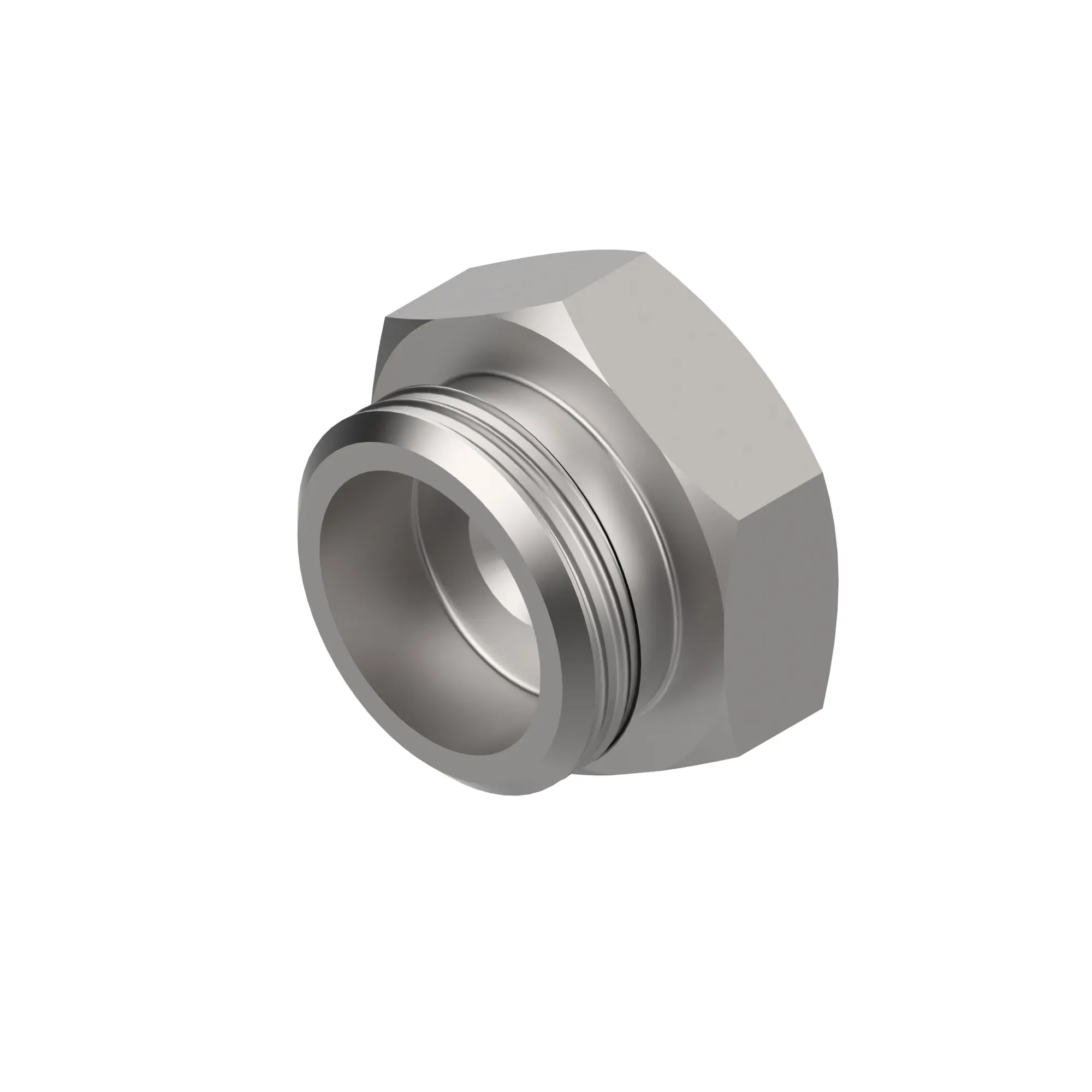 Fitting Plug