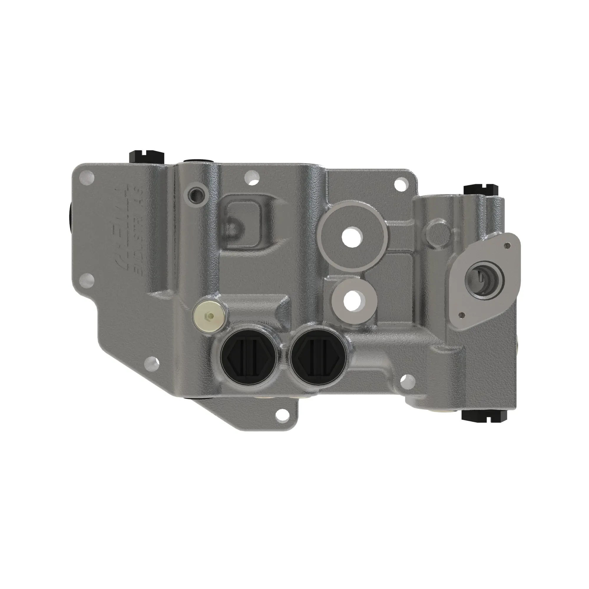 Manifold