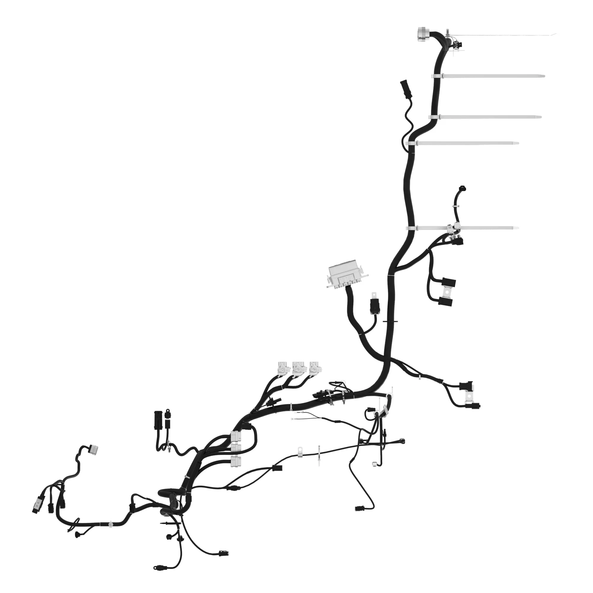 Chassis Wiring Harness