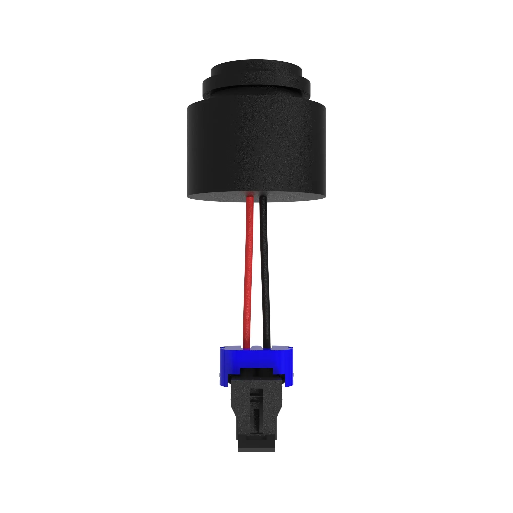 HORN, WARNING, WITH TIMER