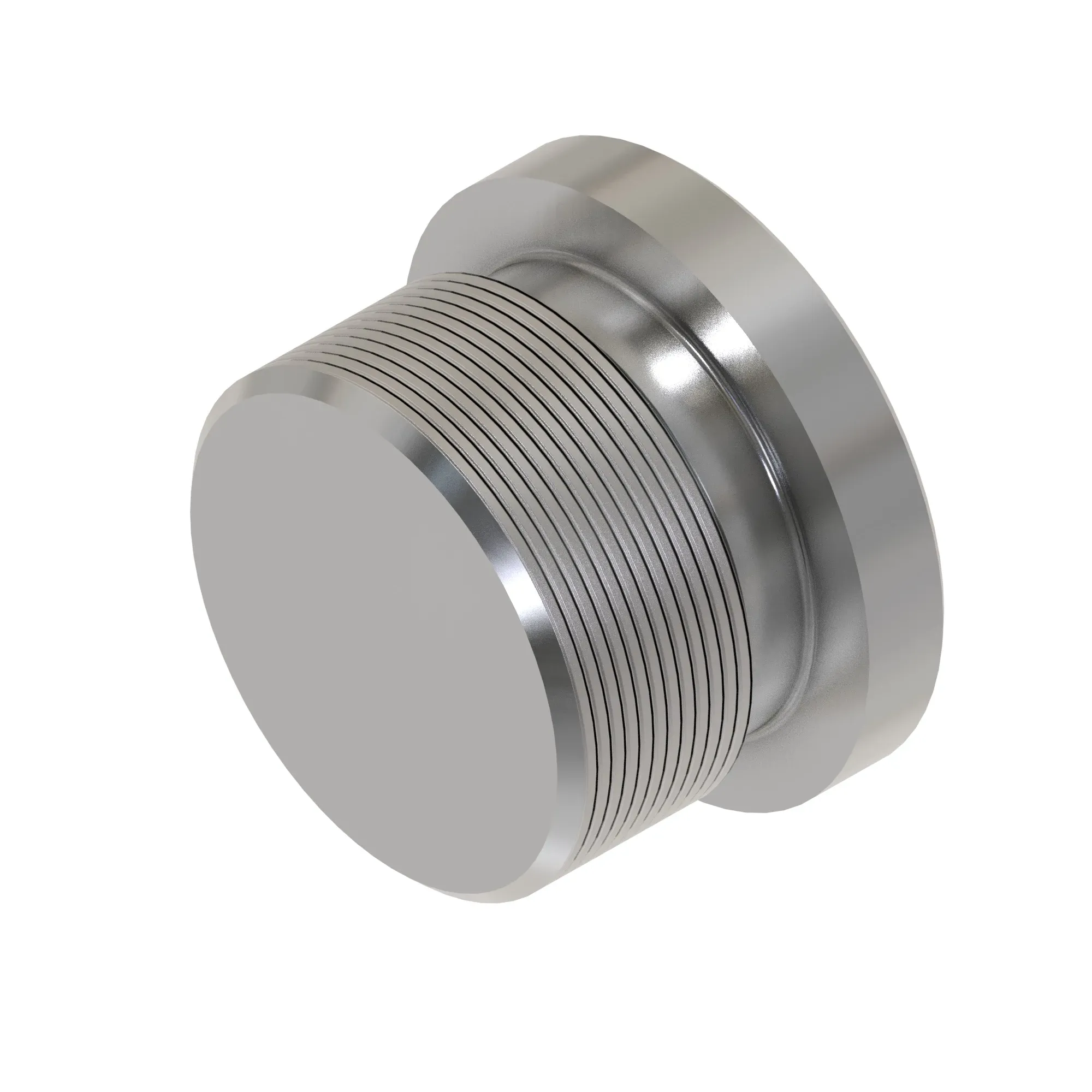 Fitting Plug
