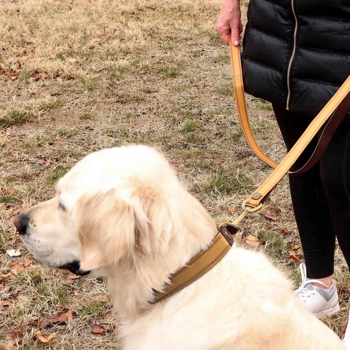 Brown Leather 5ft Dog Leash