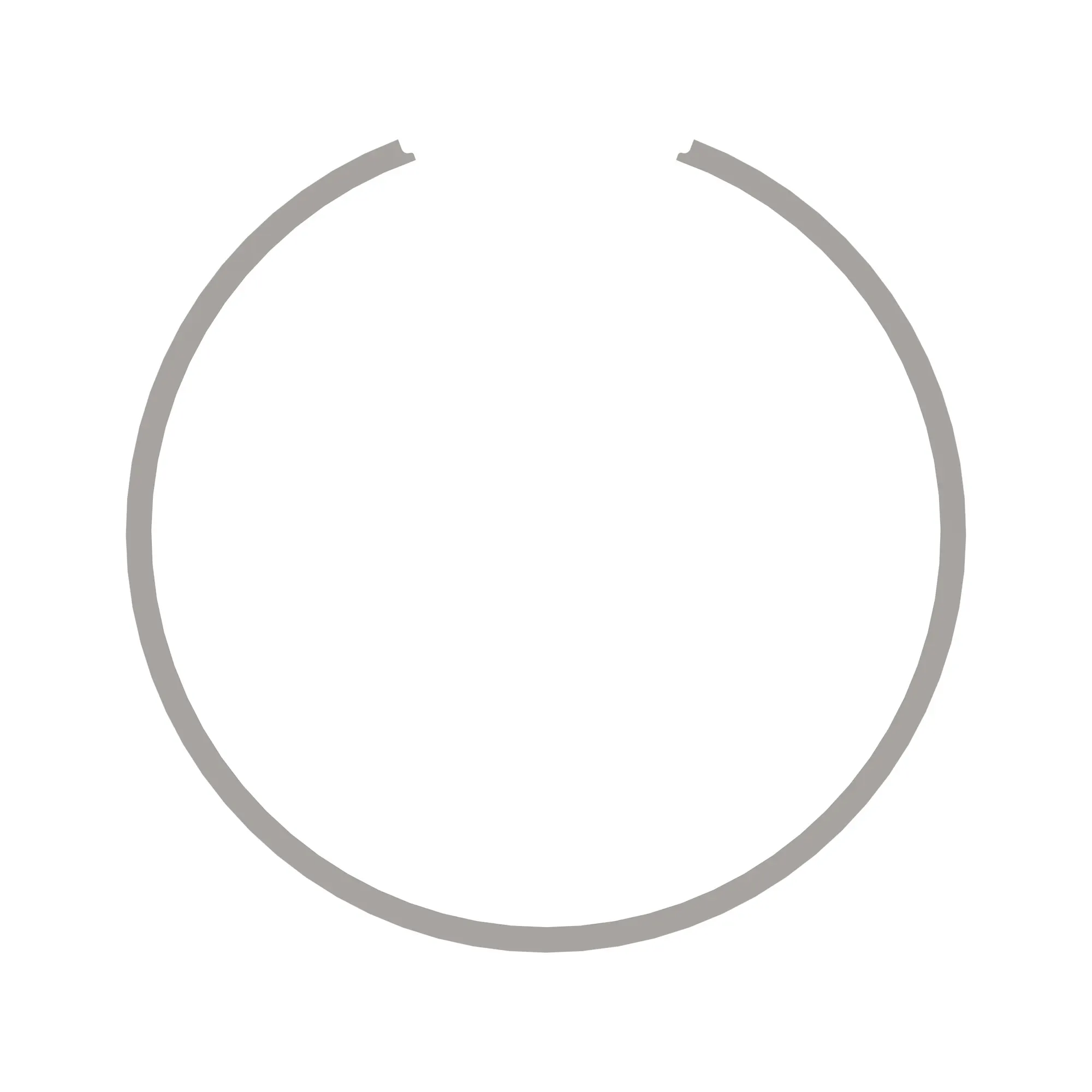 Snap Ring