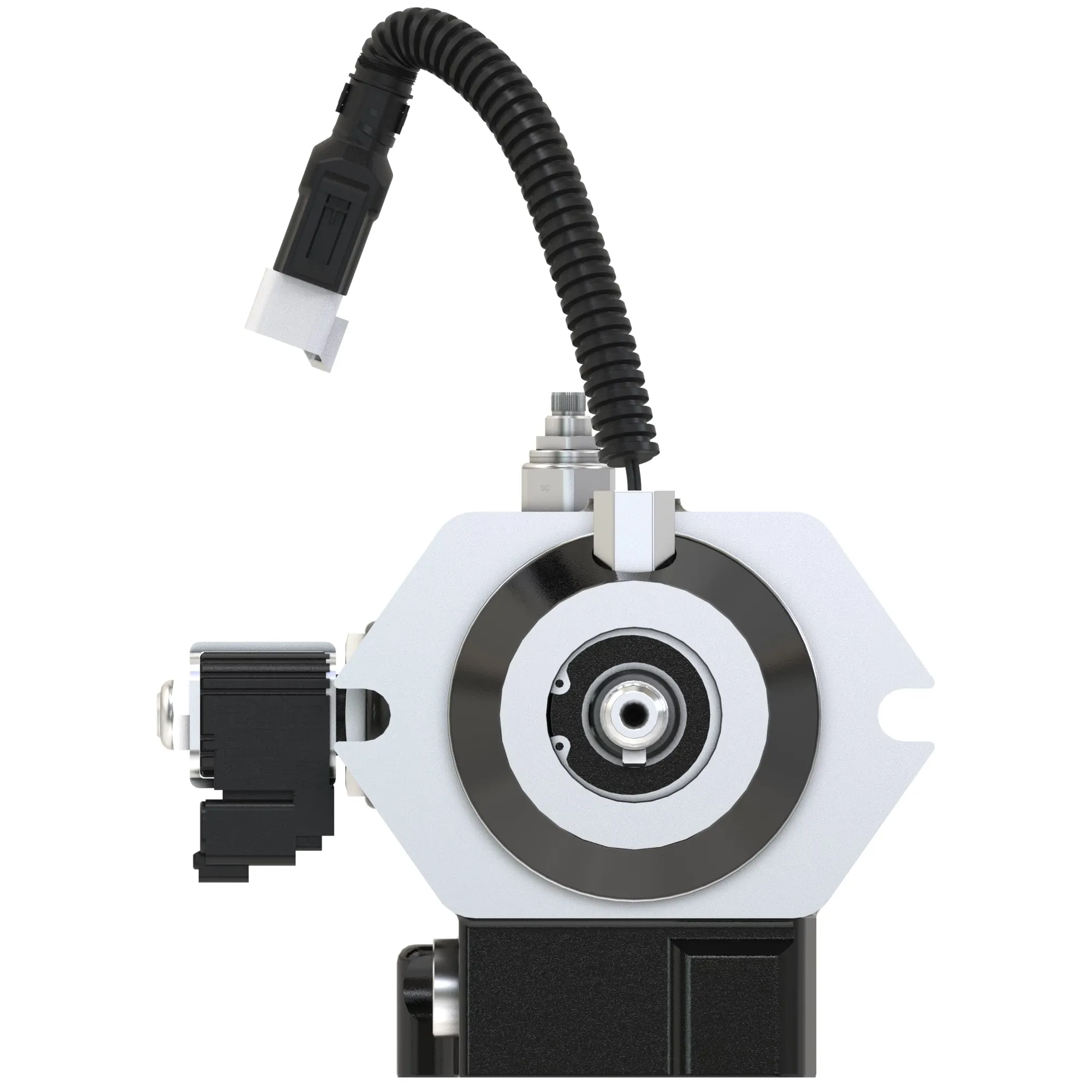 Hydraulic Motor