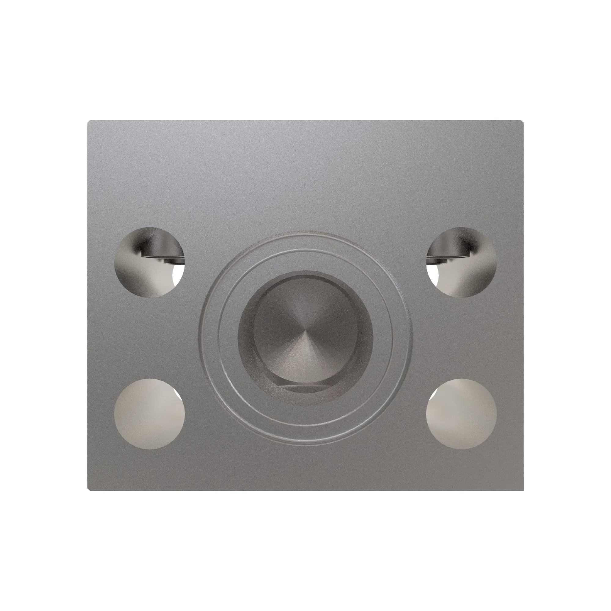 Manifold