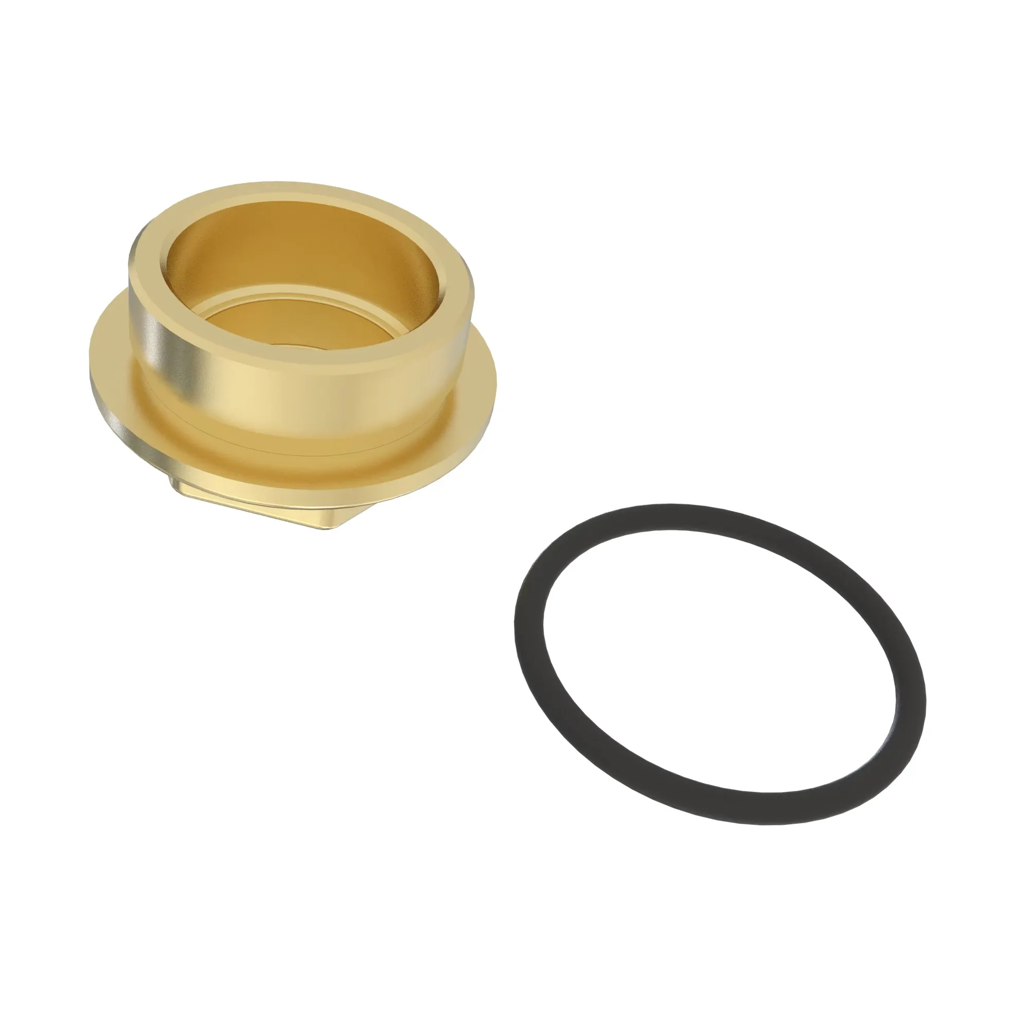 CAP KIT, CAP AND O-RING,  1"VALVE