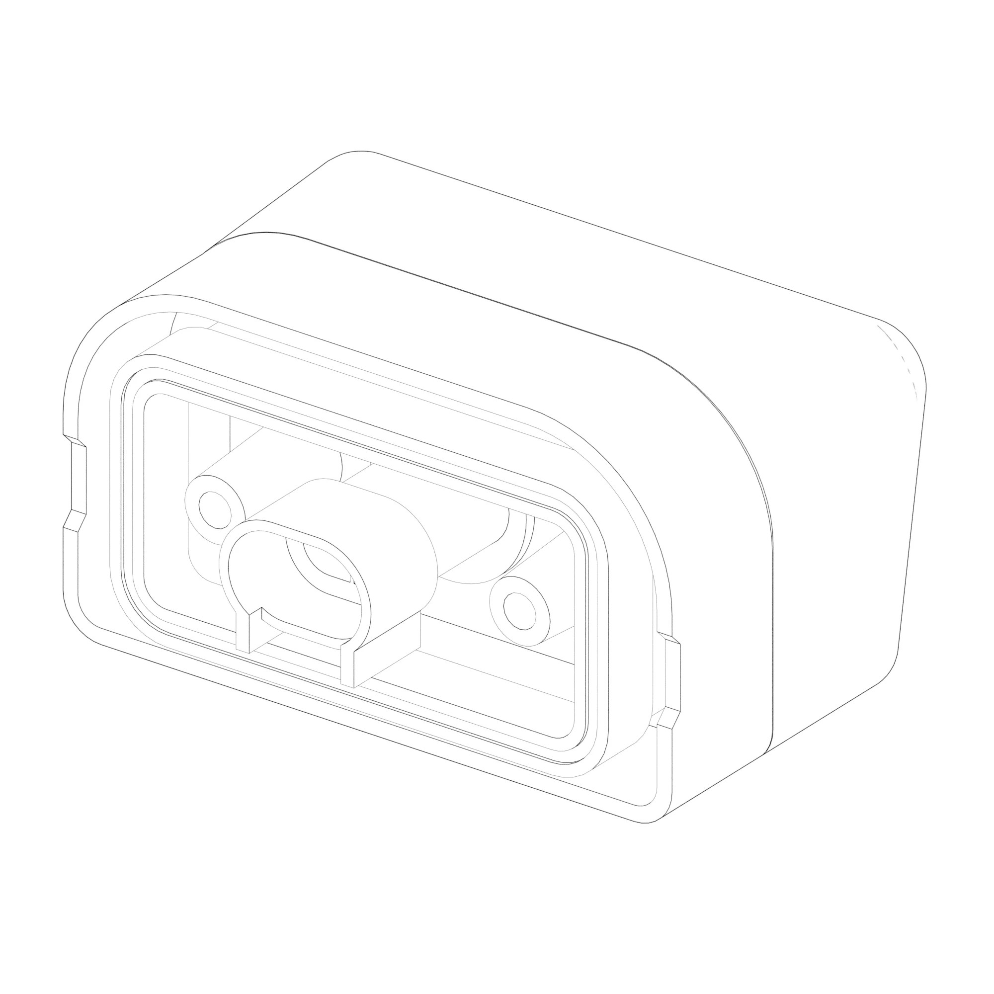 LIGHT MODULE