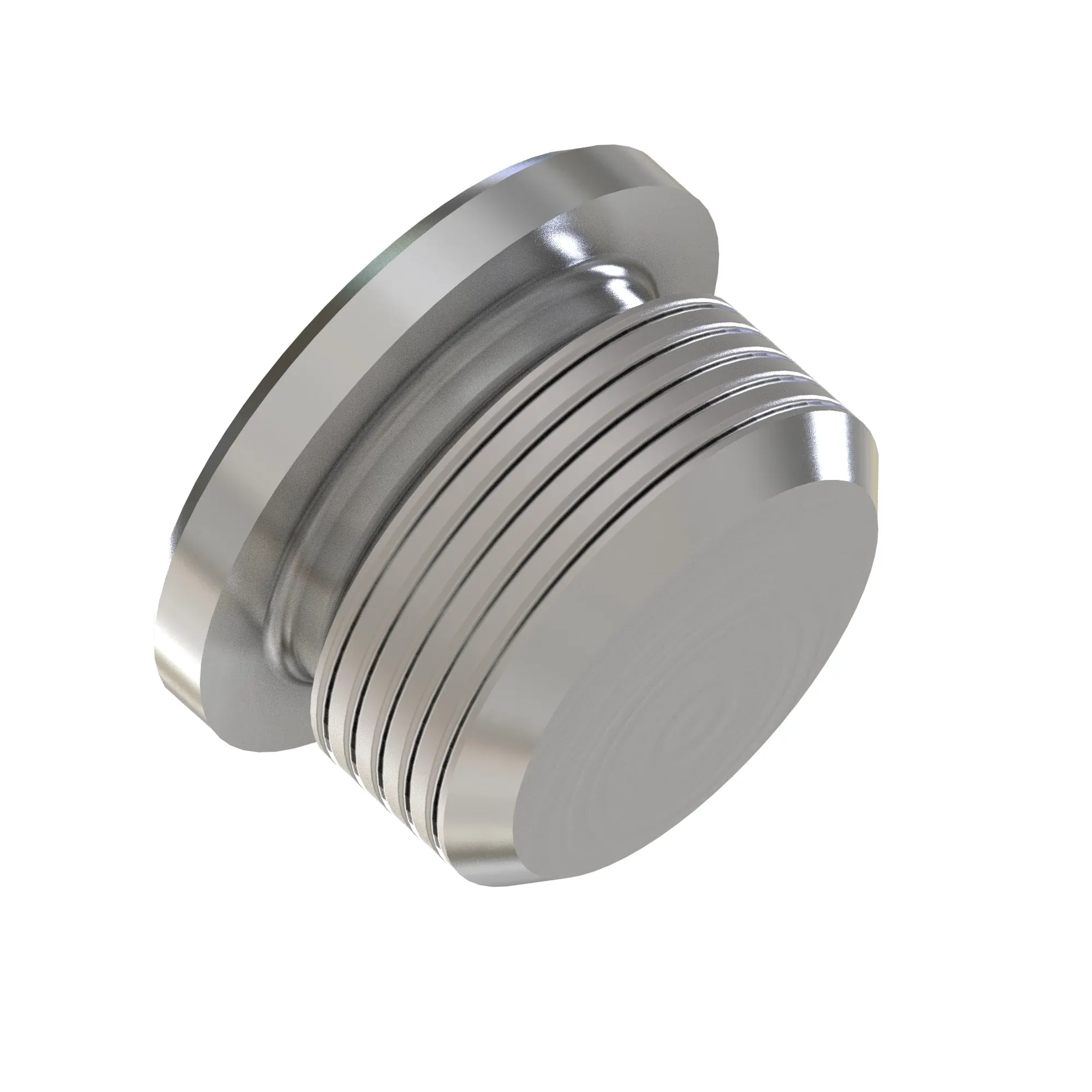 Fitting Plug