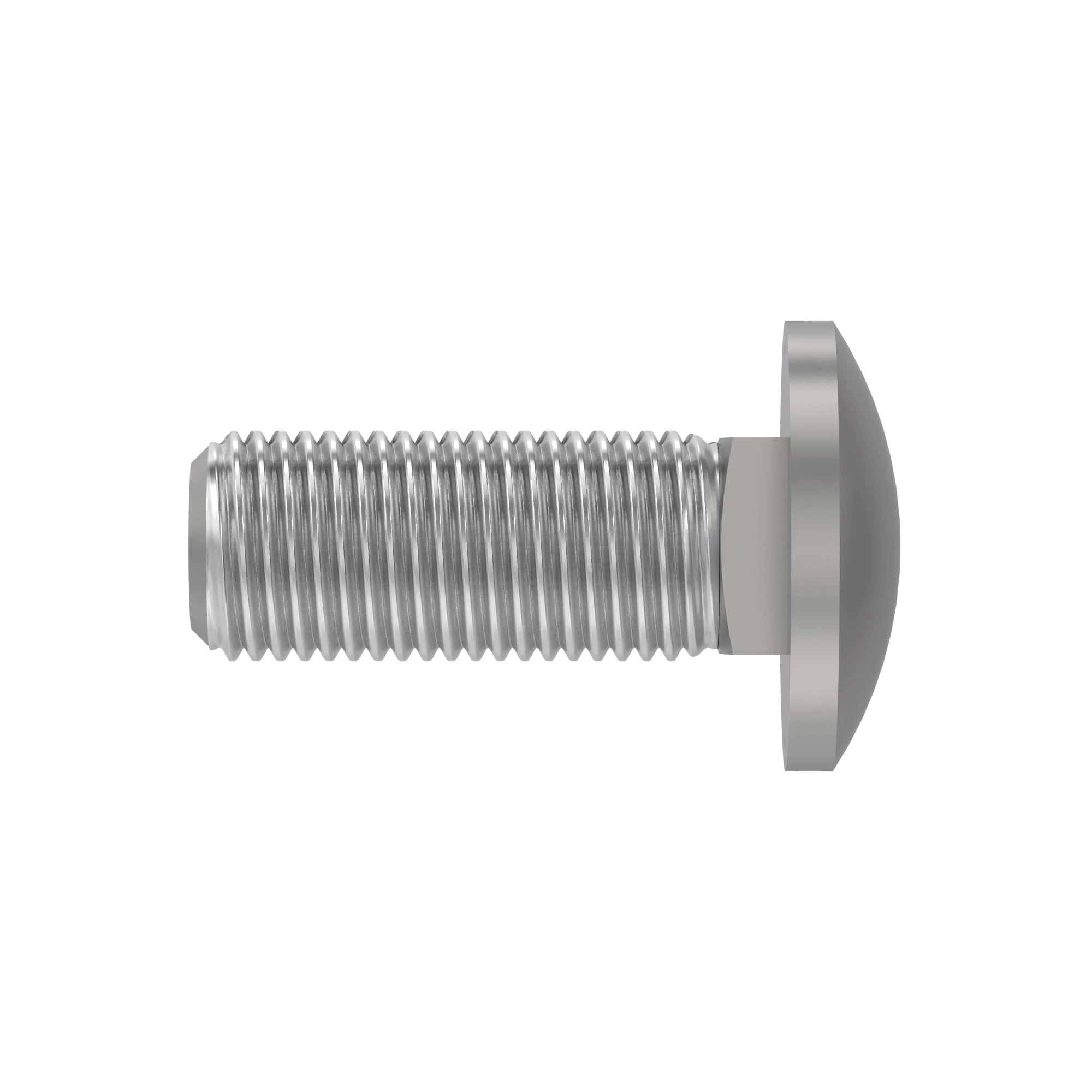 BOLT, CUP HEAD SQUARE NECK