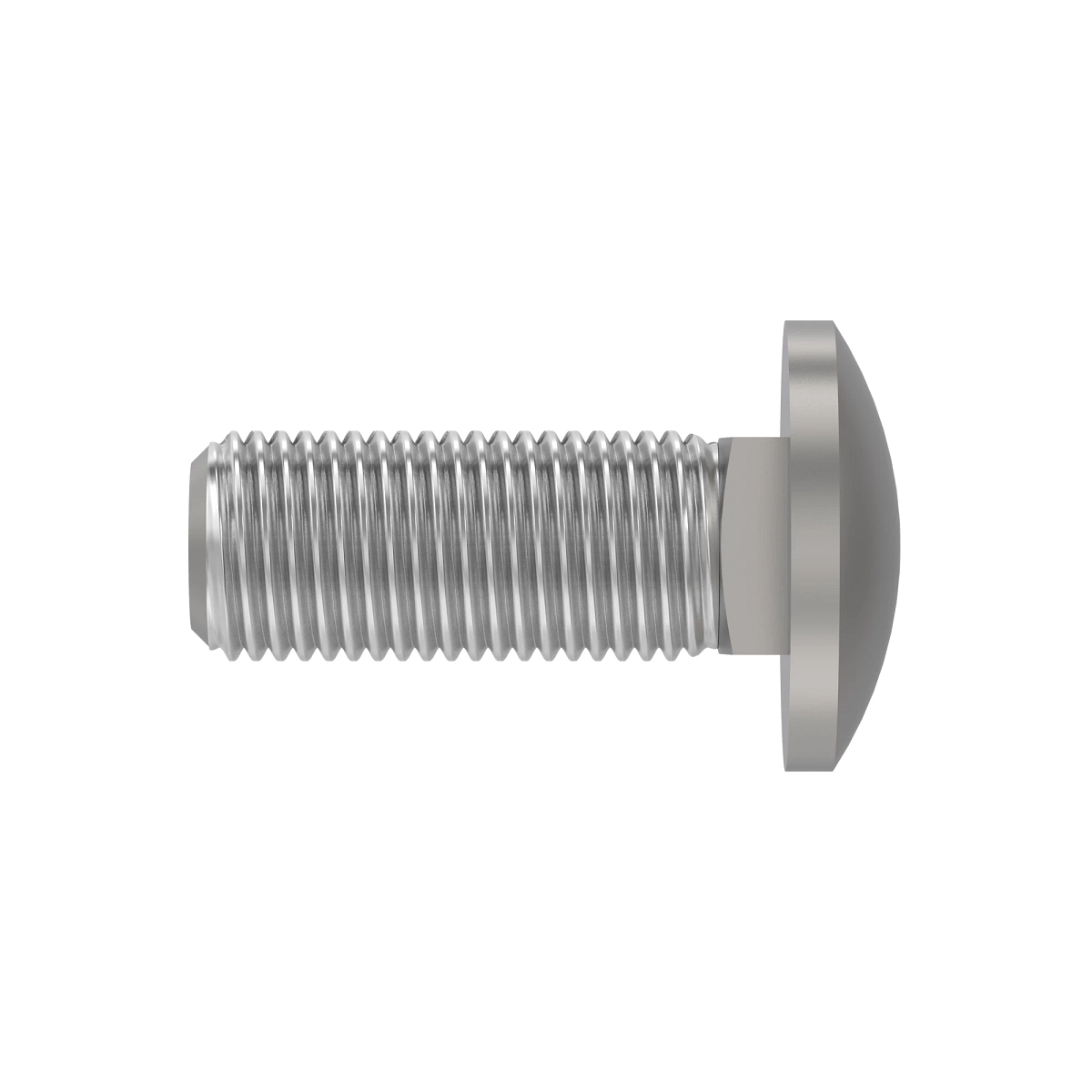 BOLT, CUP HEAD SQUARE NECK