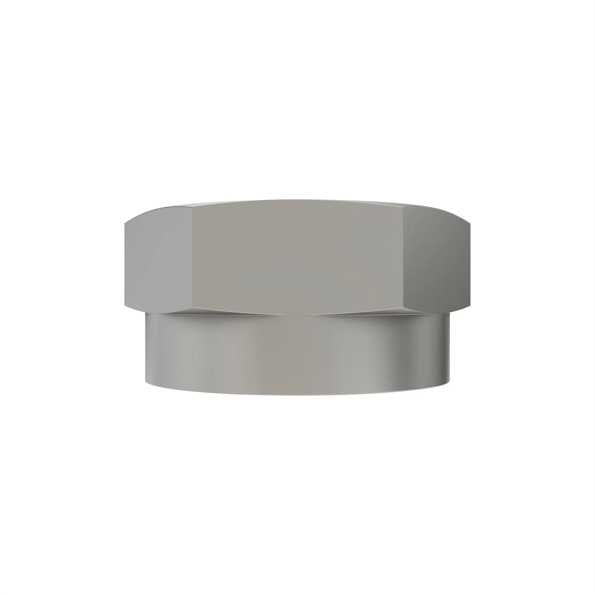 T27294: Hexagonal Prevailing Torque Nut, M50.8