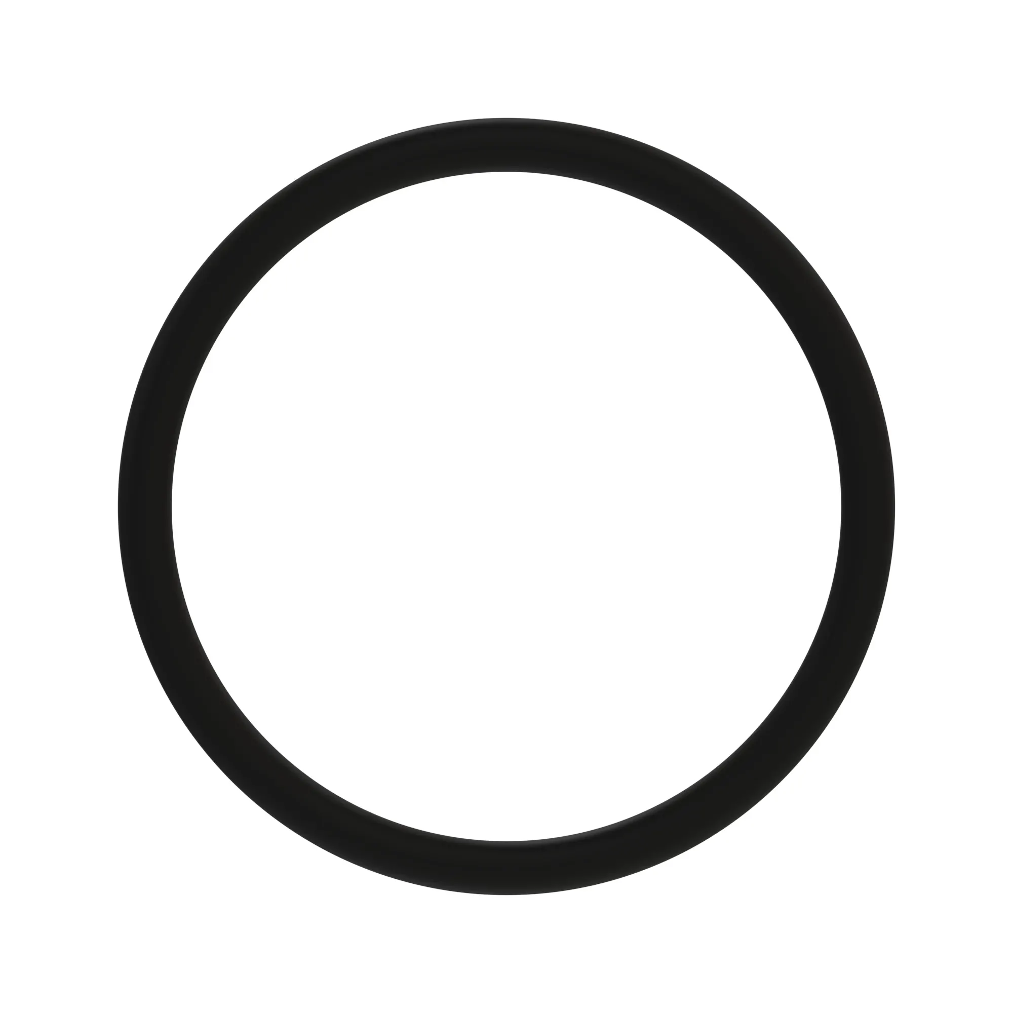 O-RING