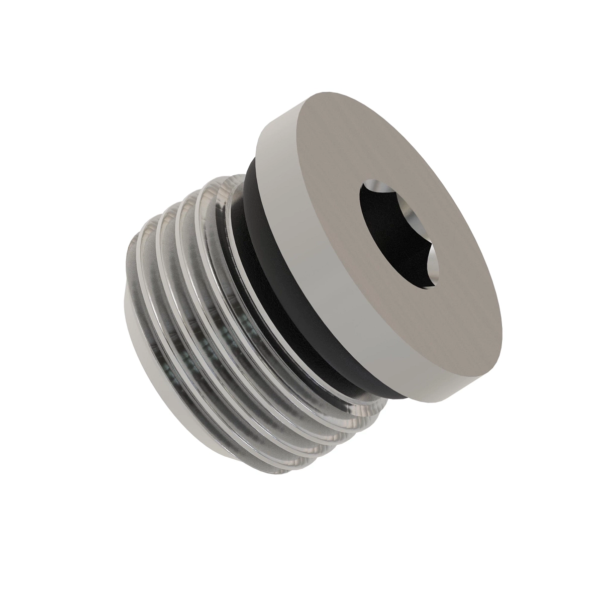 Plug, Socket Head Straight Thread