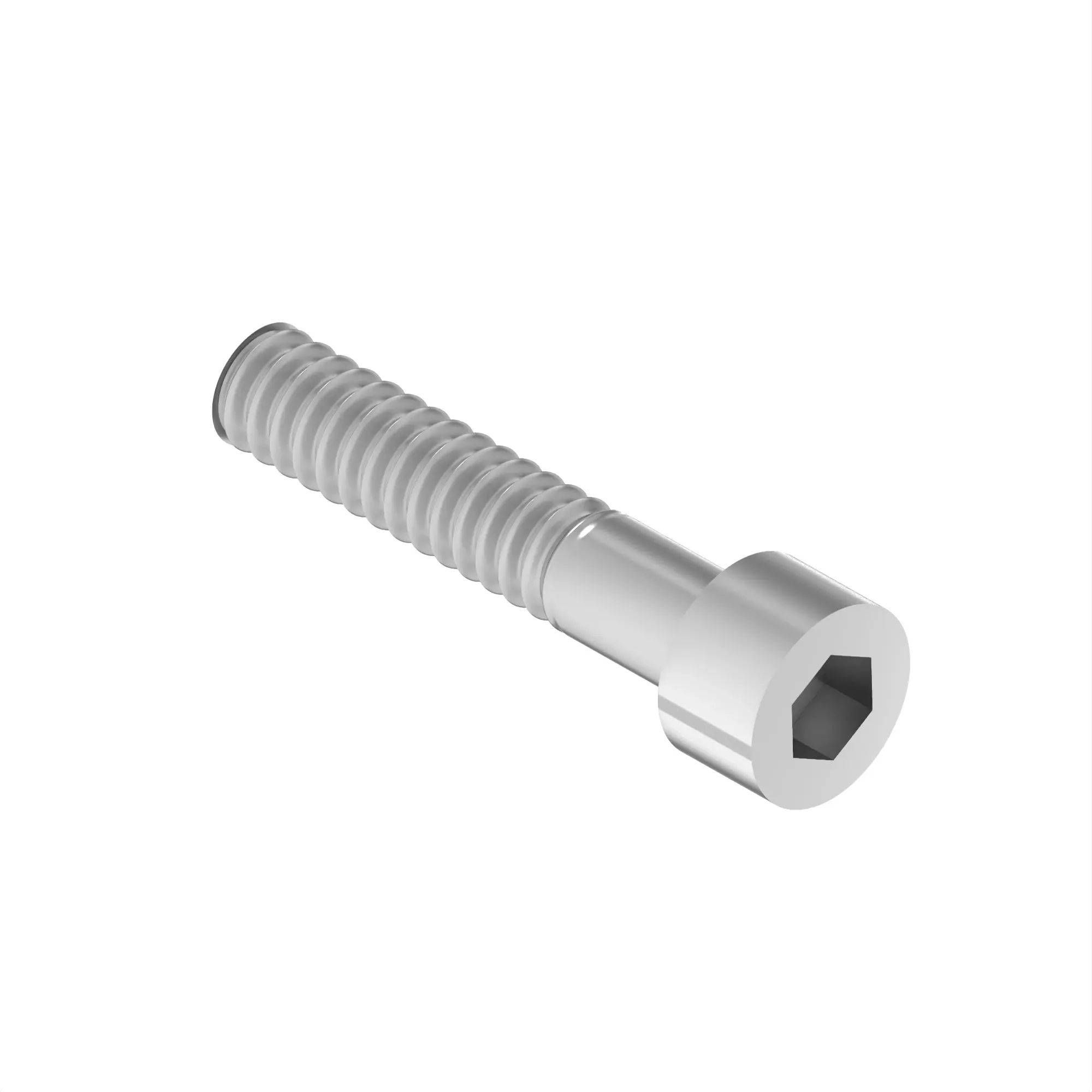 SCREW, HEX SOCKET HEAD, METRIC