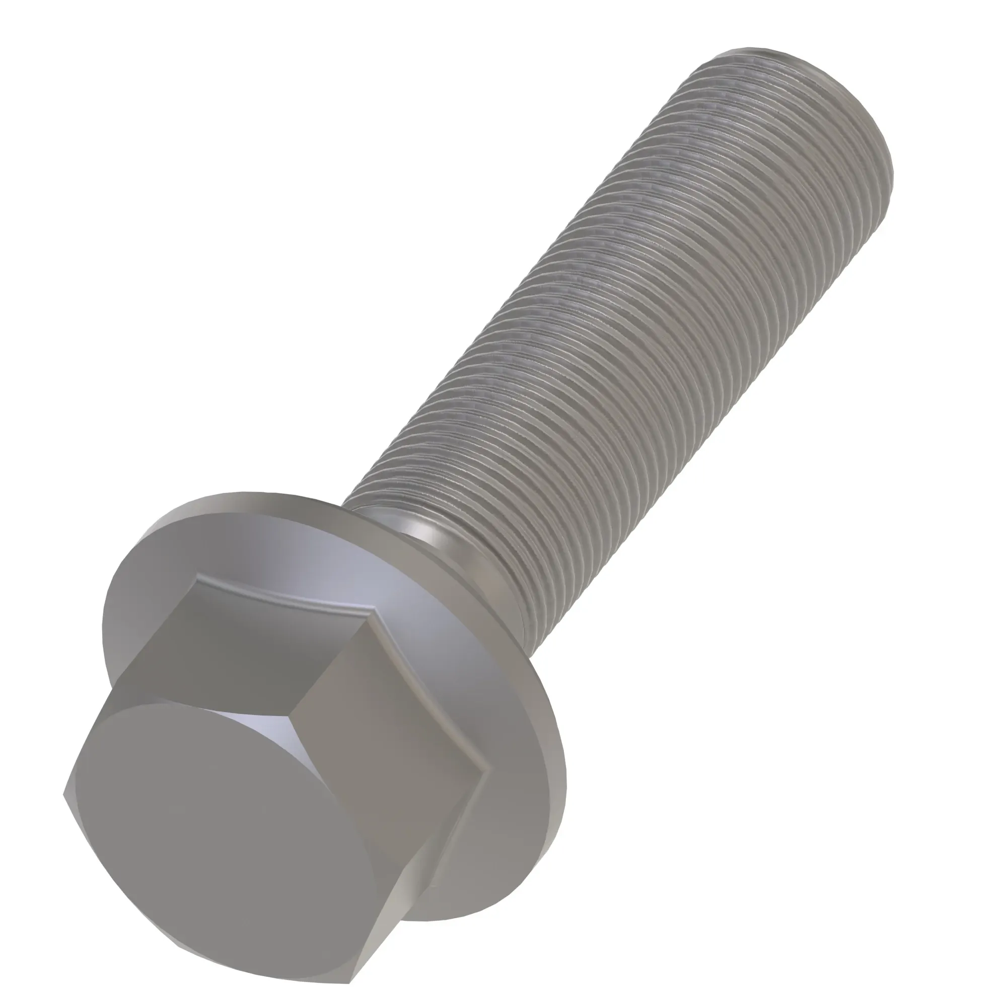Screw With Washer