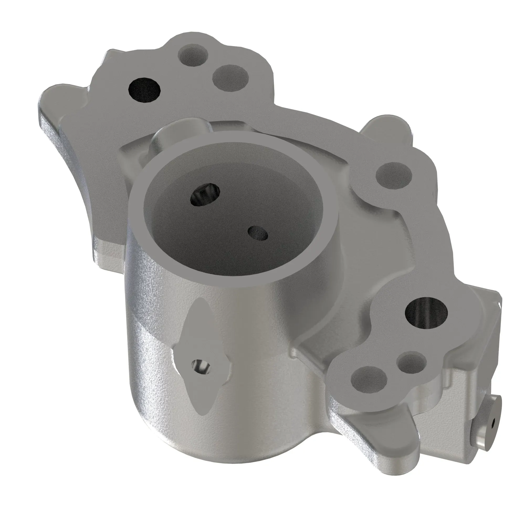 Manifold