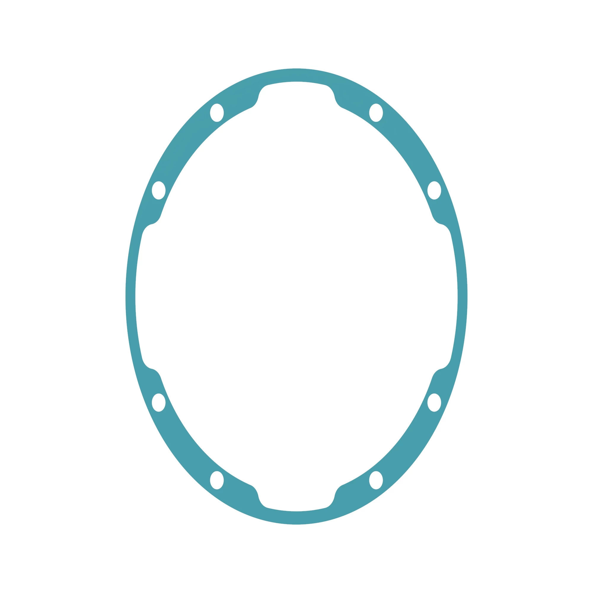 Gaskets & Gasket Kits