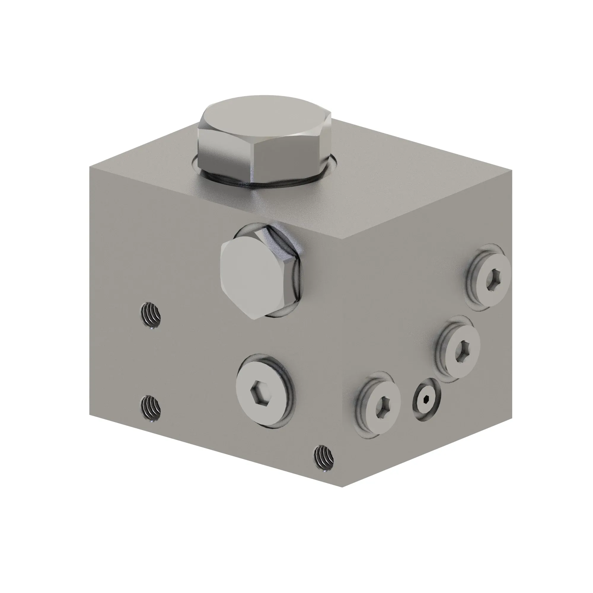 Manifold