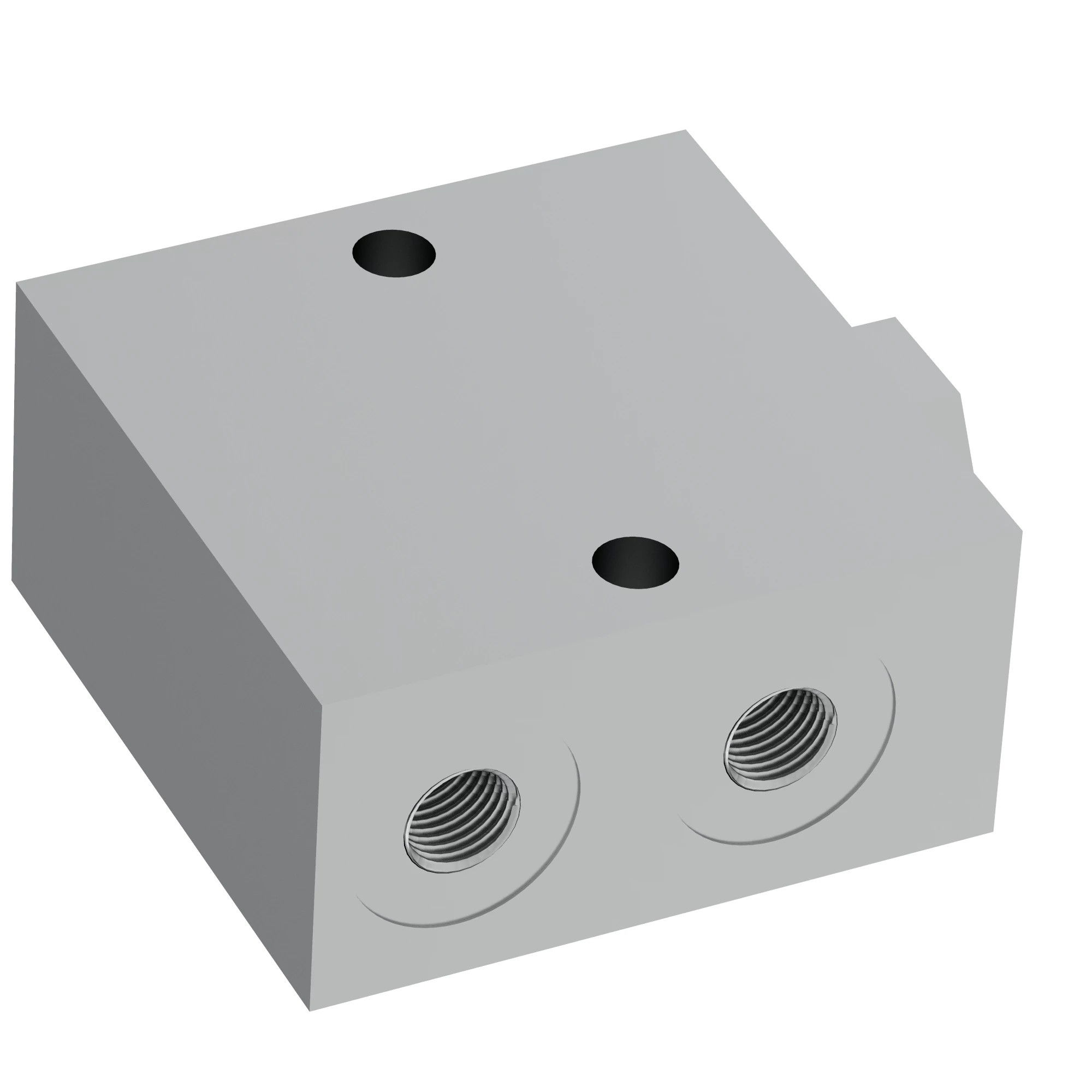 CHECK VALVE, VALVE, ROOT RAKE / MP