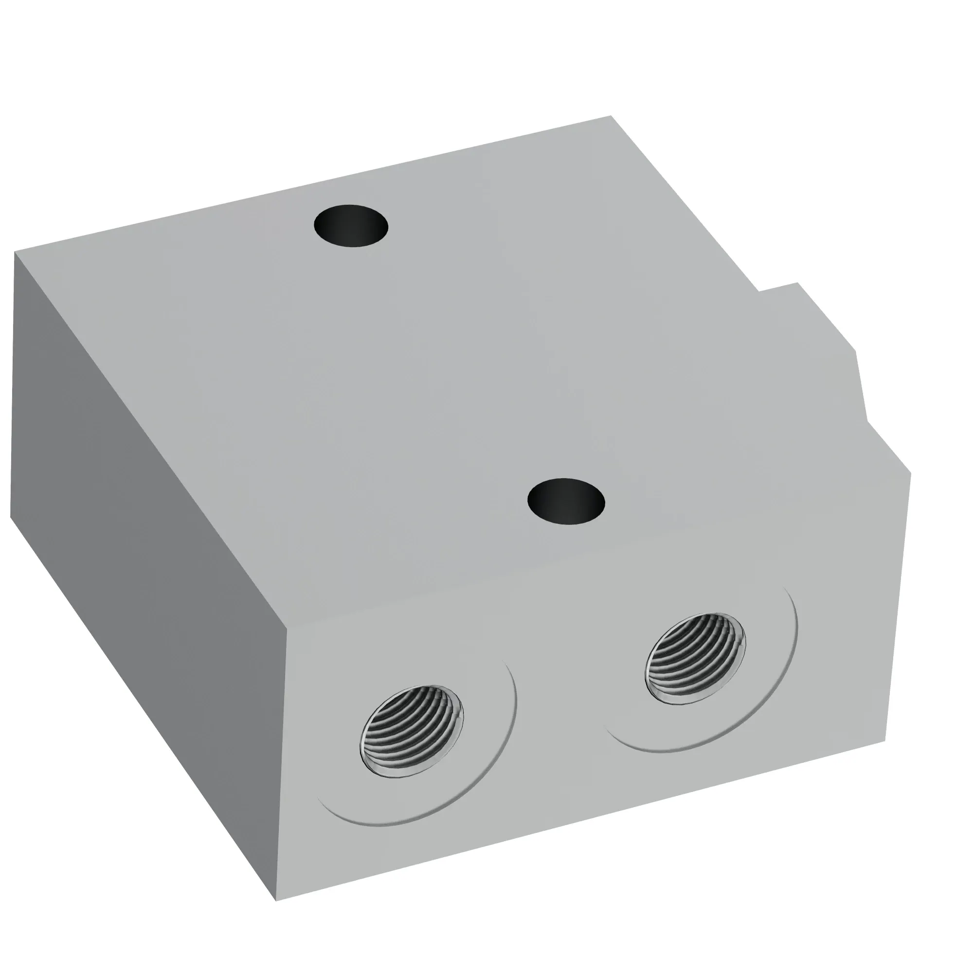 CHECK VALVE, VALVE, ROOT RAKE / MP