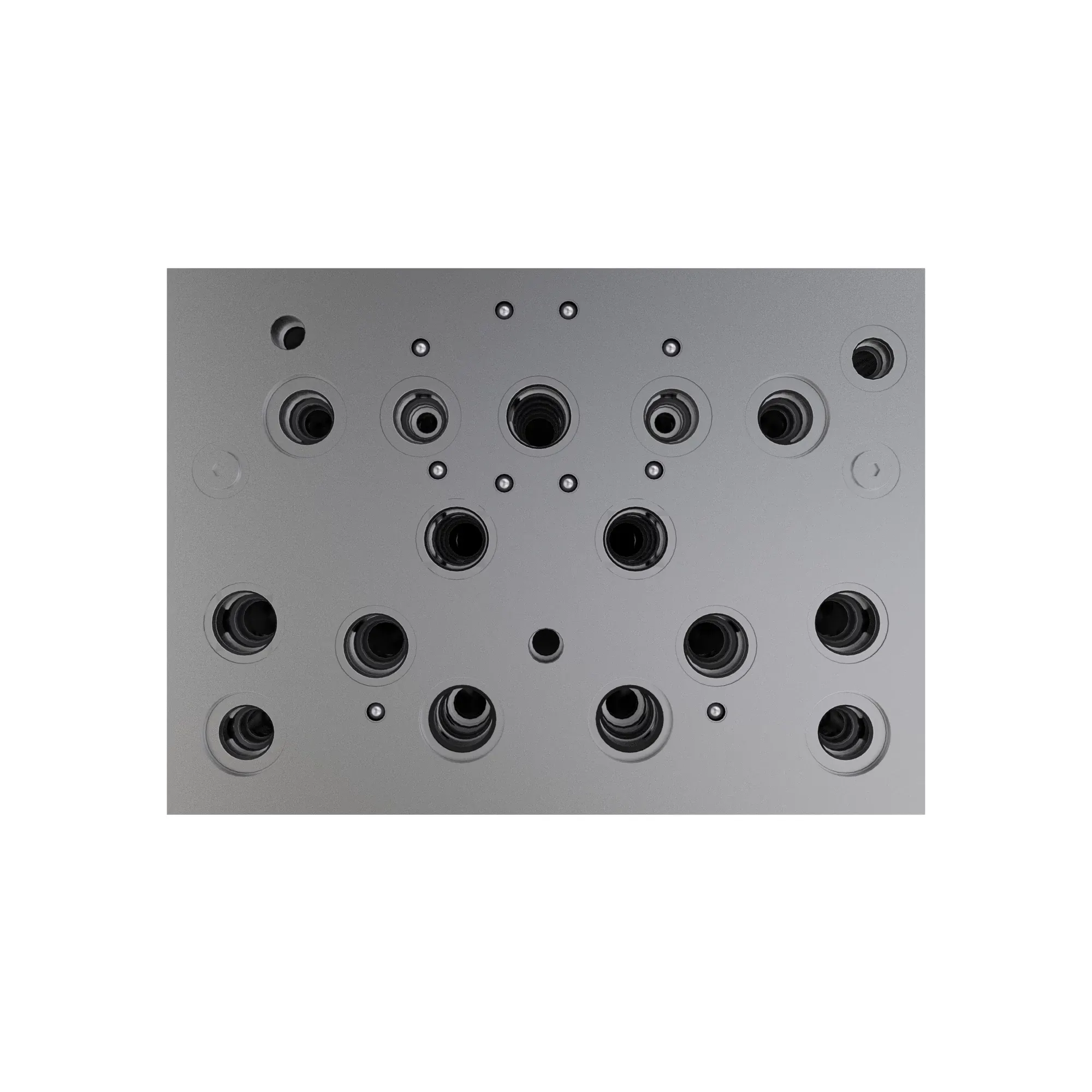 Manifold