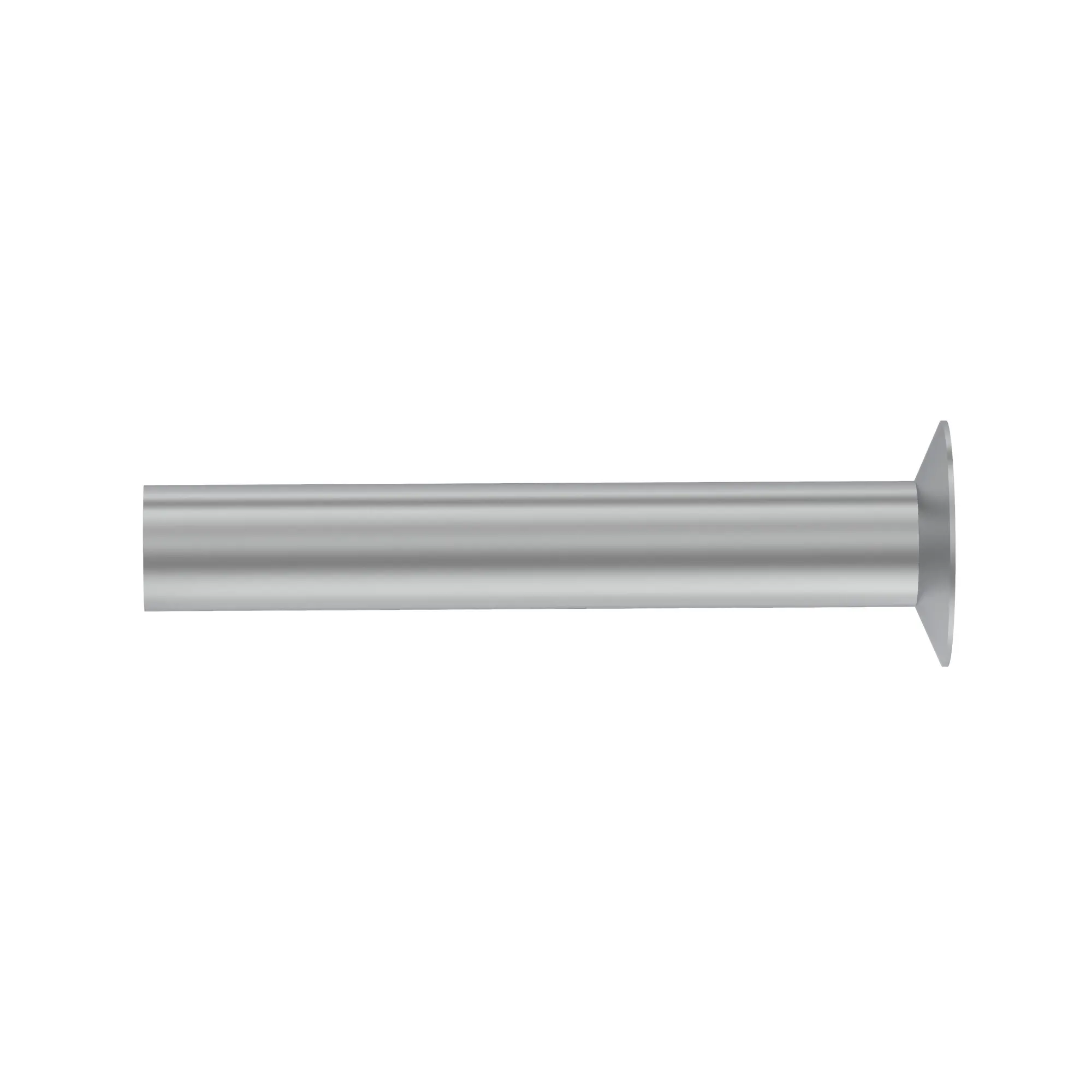 Rivet
