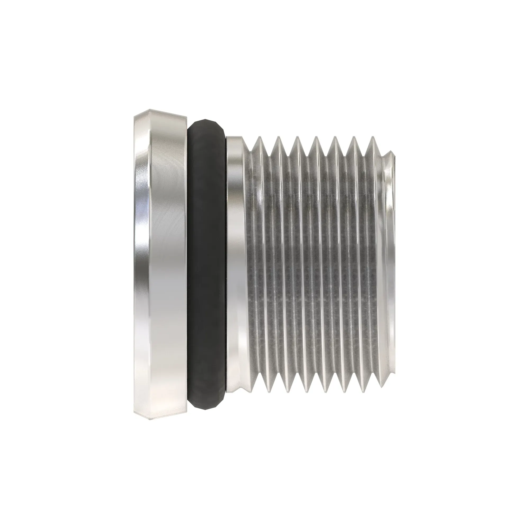 Fitting Plug