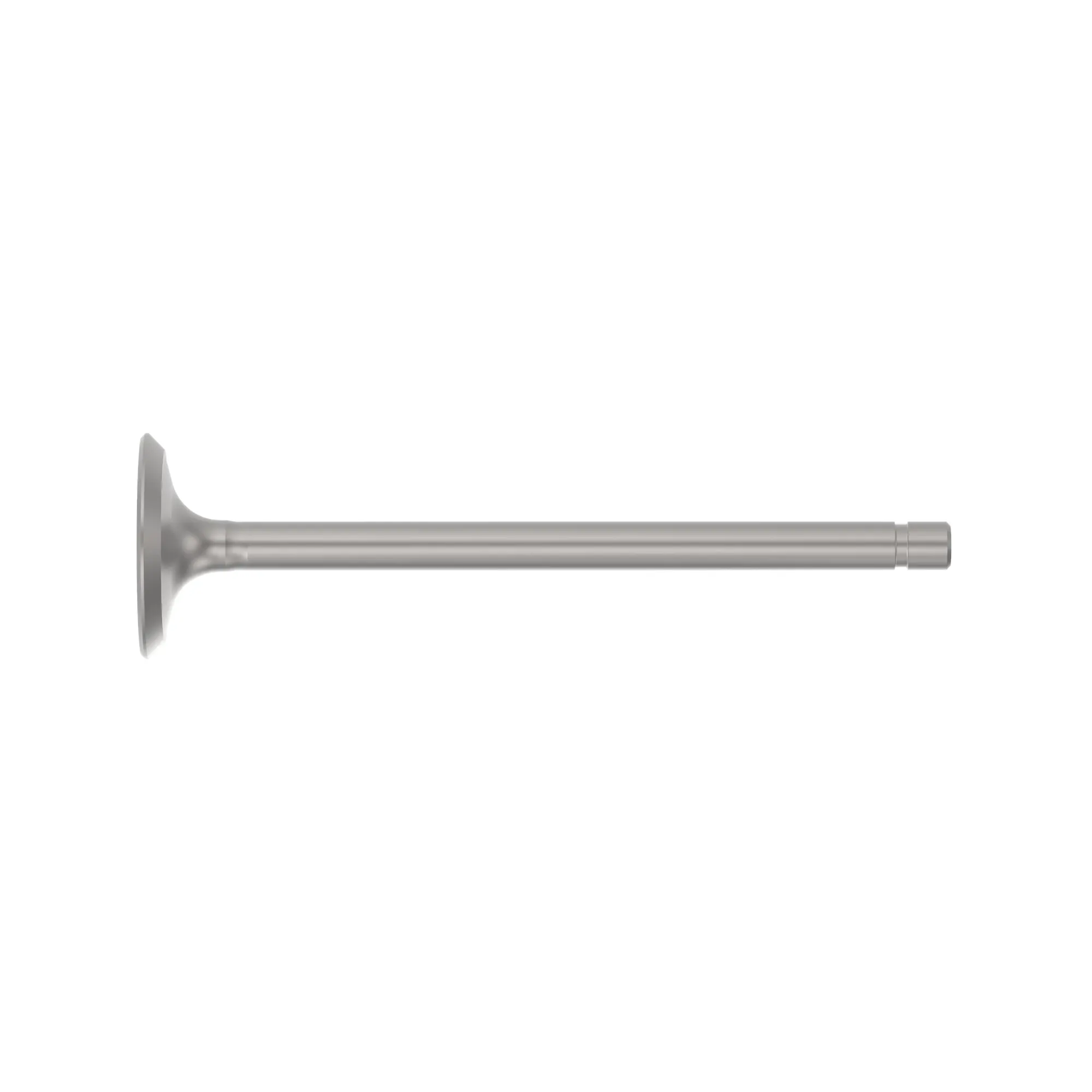 Exhaust Valve