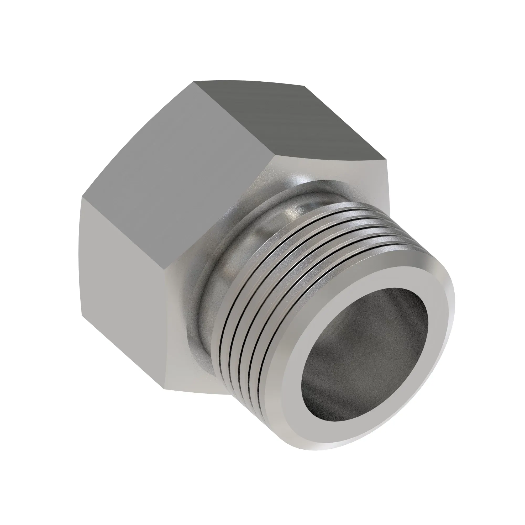 Fitting Plug