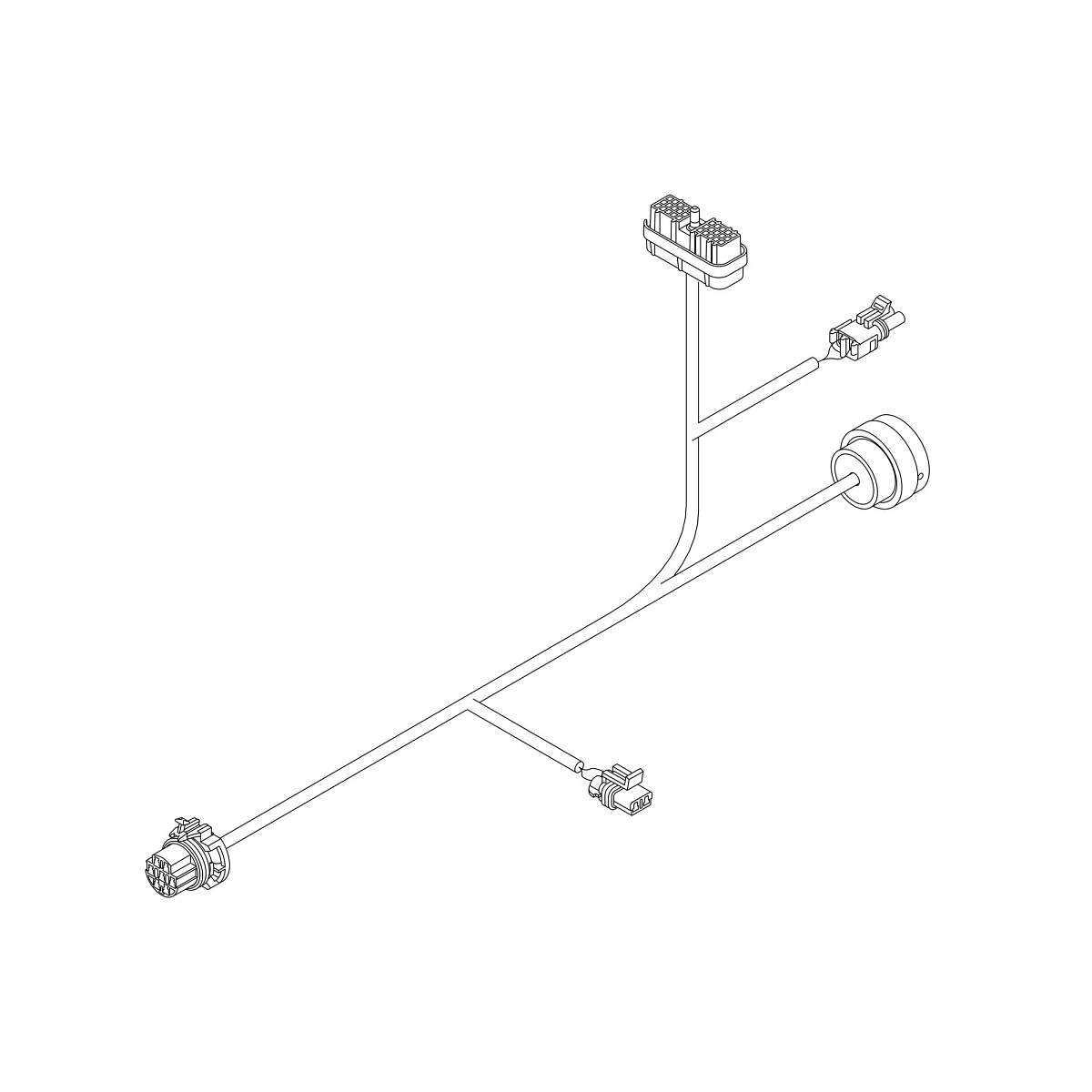 Wiring Harness, Can Bus, B