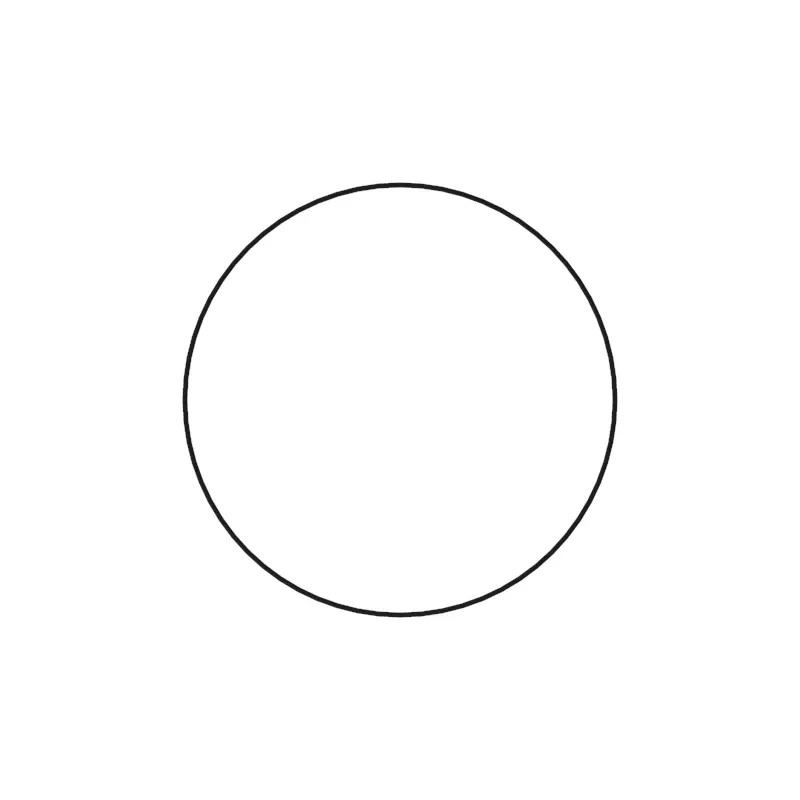 O-Ring