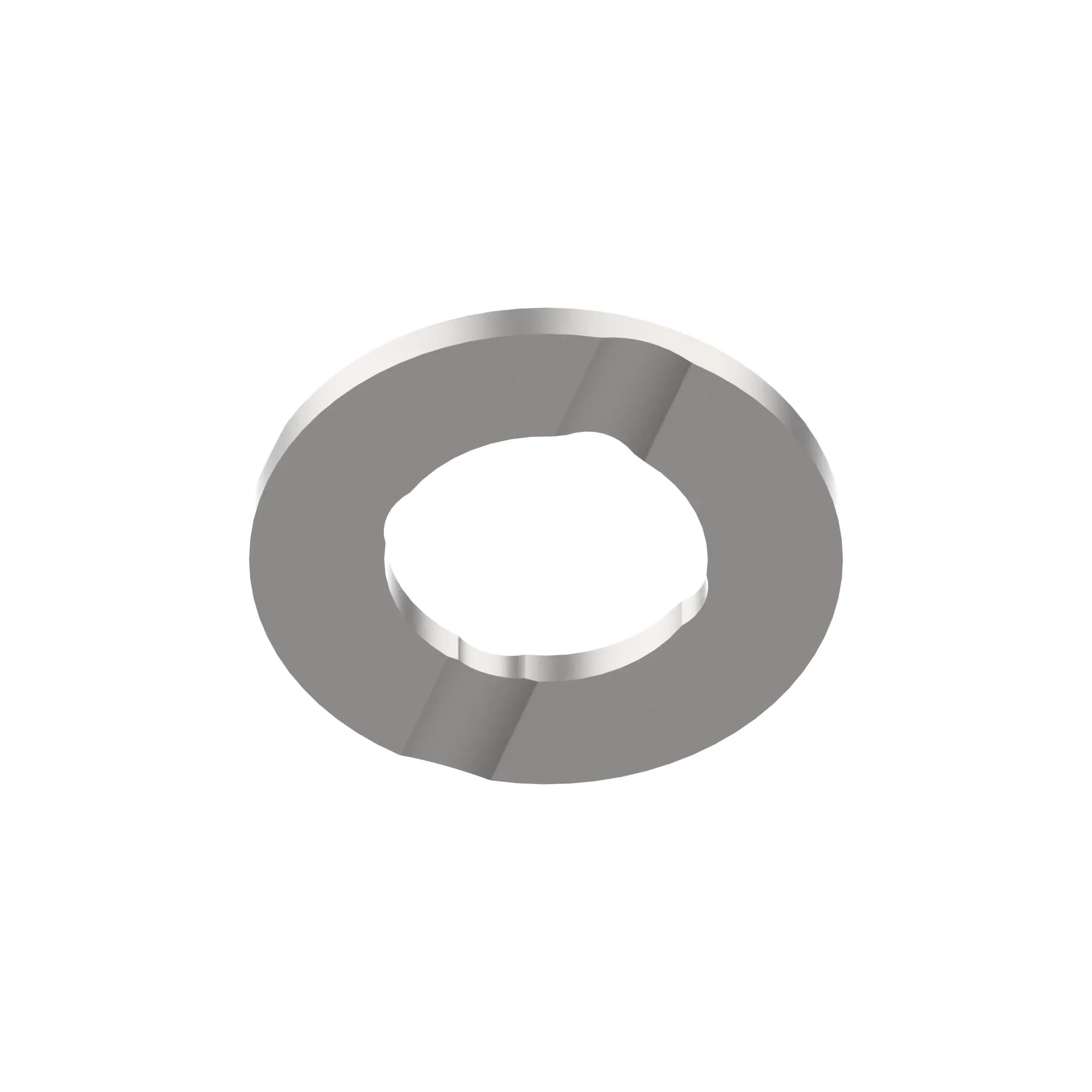 Thrust Washer