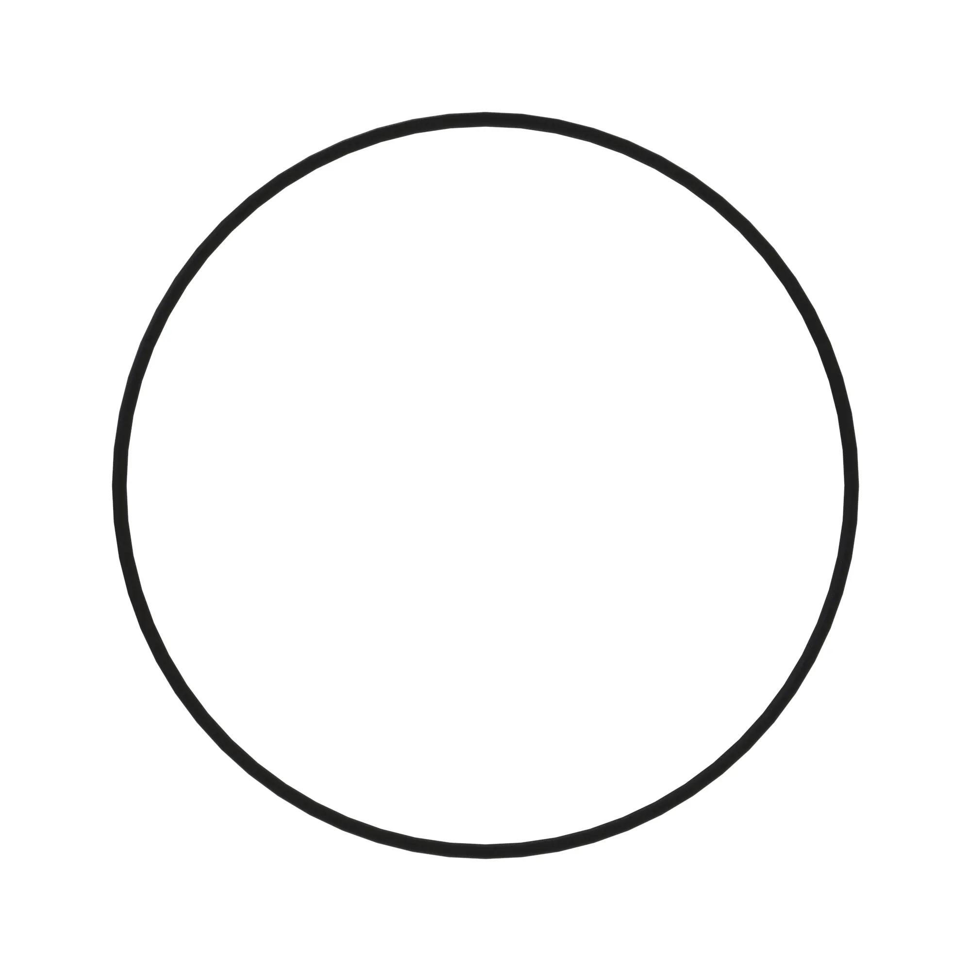 O-Ring