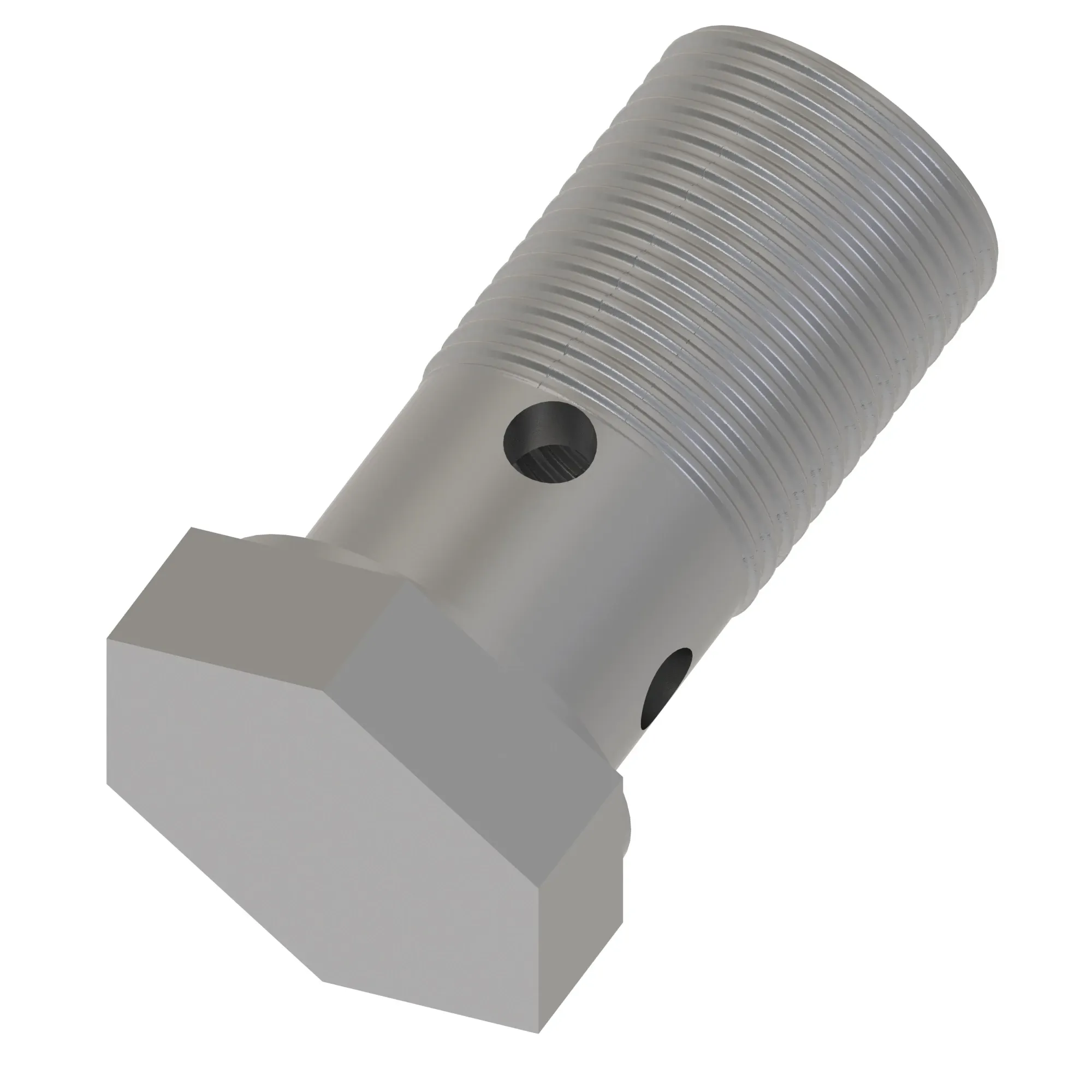 Hollow Screw