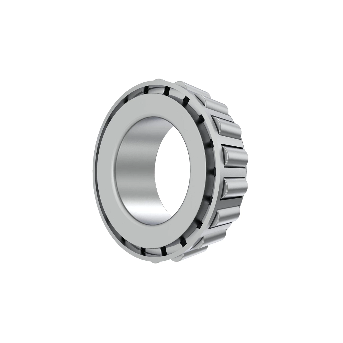 Cone-Bearing
