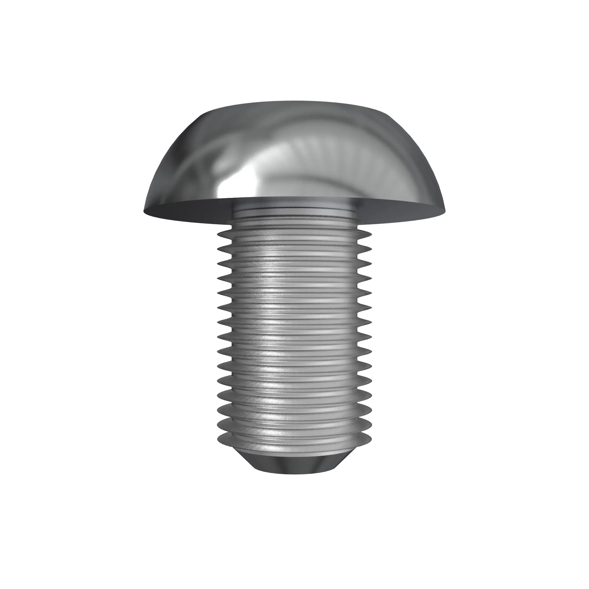 SCREW, SPECIAL