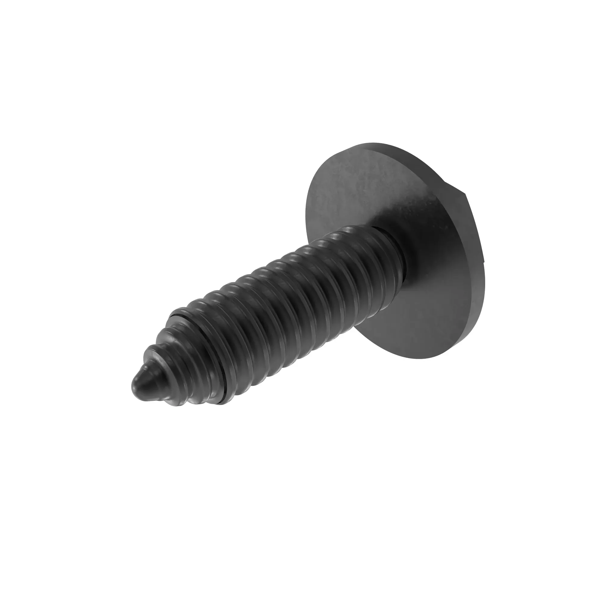 Screw With Washer