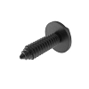 Screw With Washer