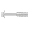 Screw