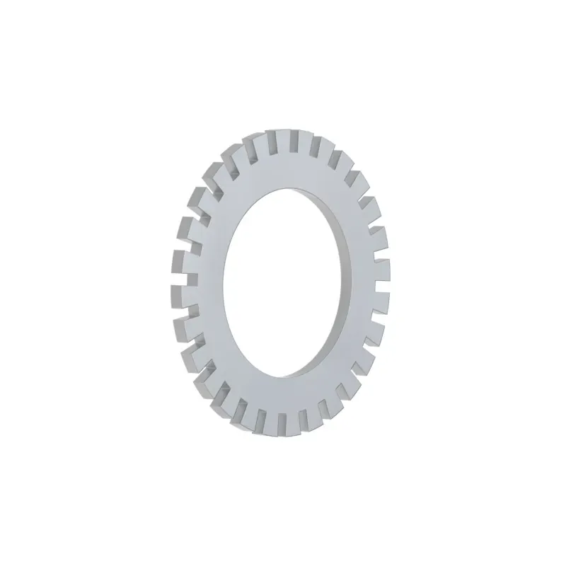 F15007: Lock Washer