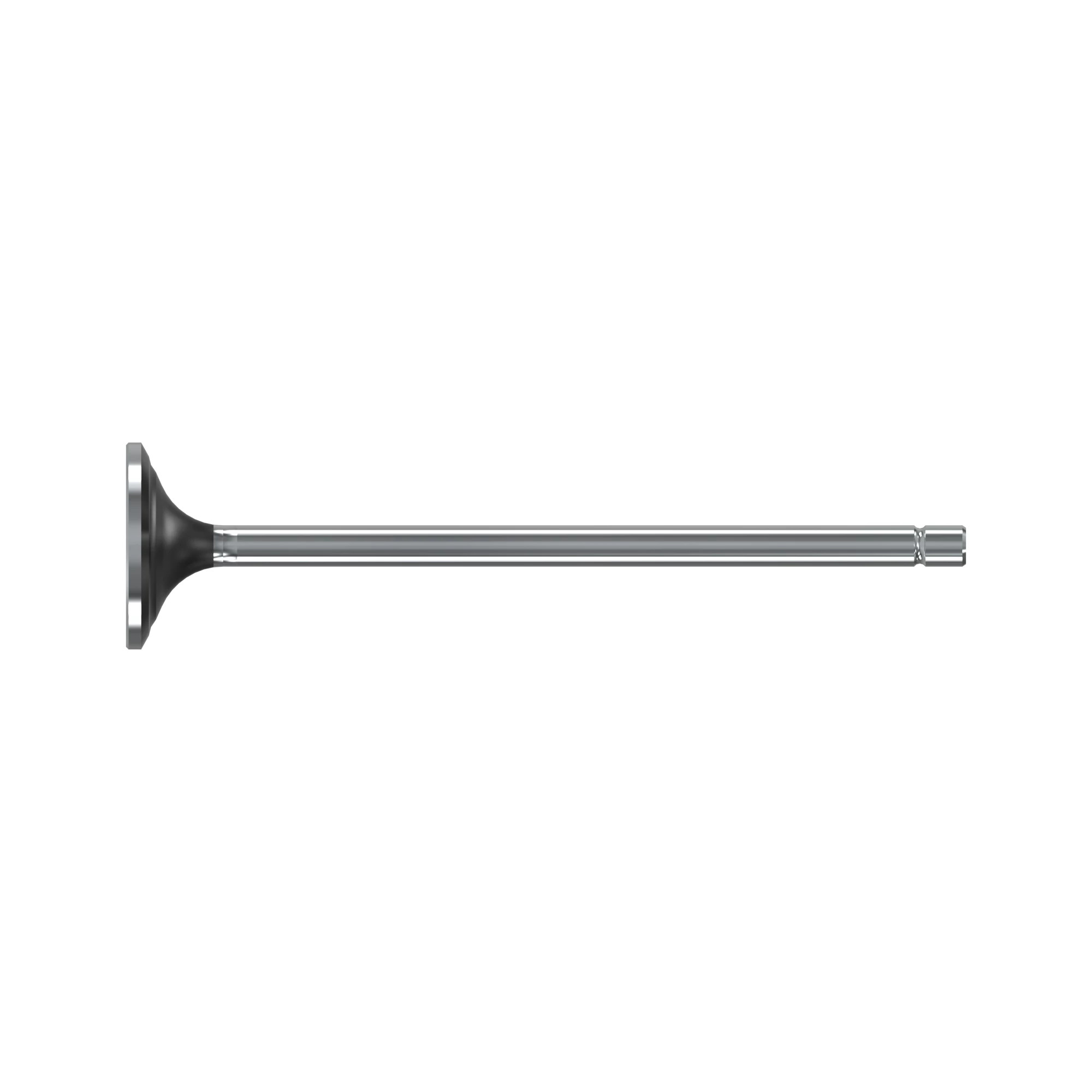 Exhaust Valve